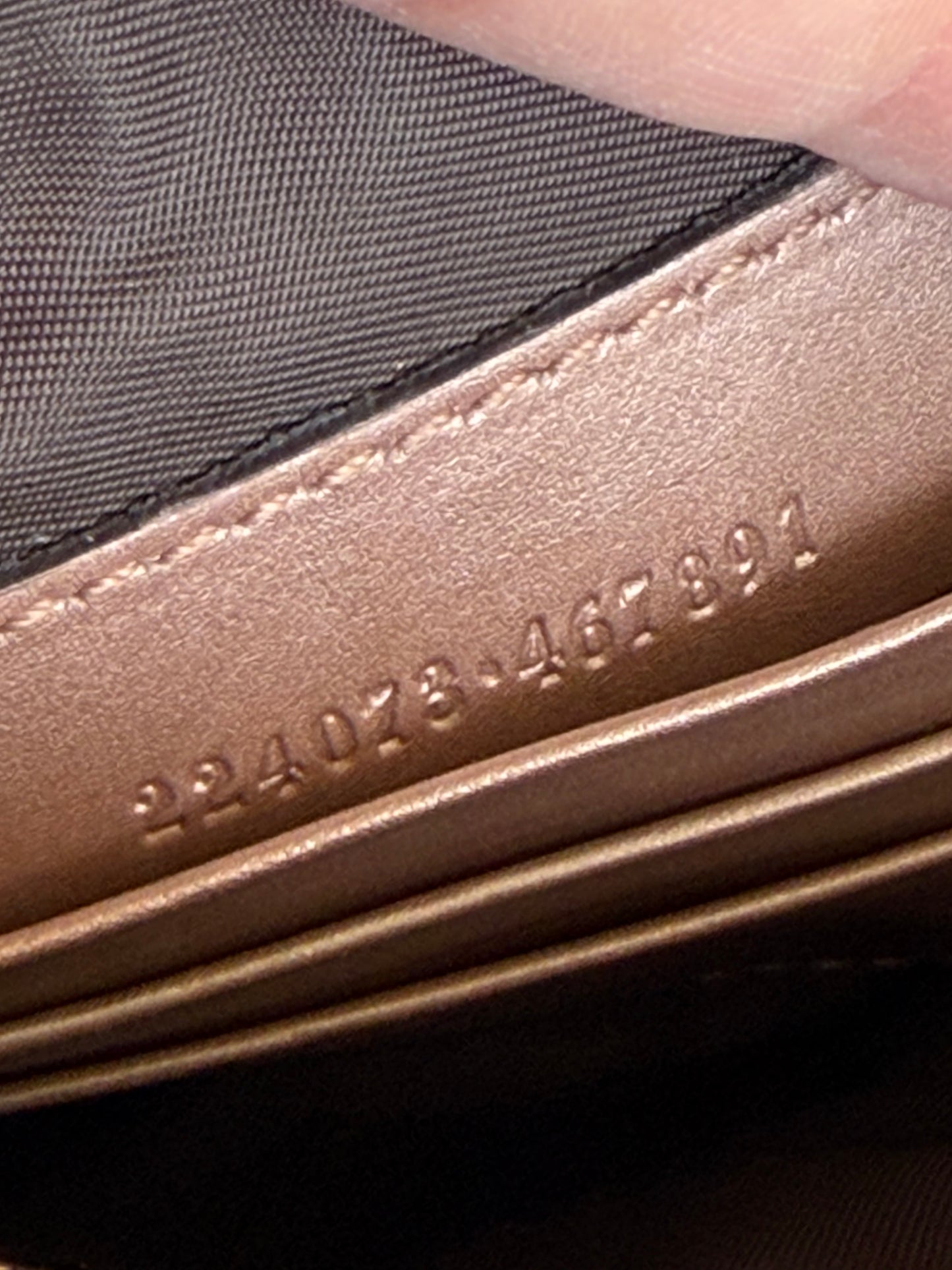 Gucci Pouch charmy