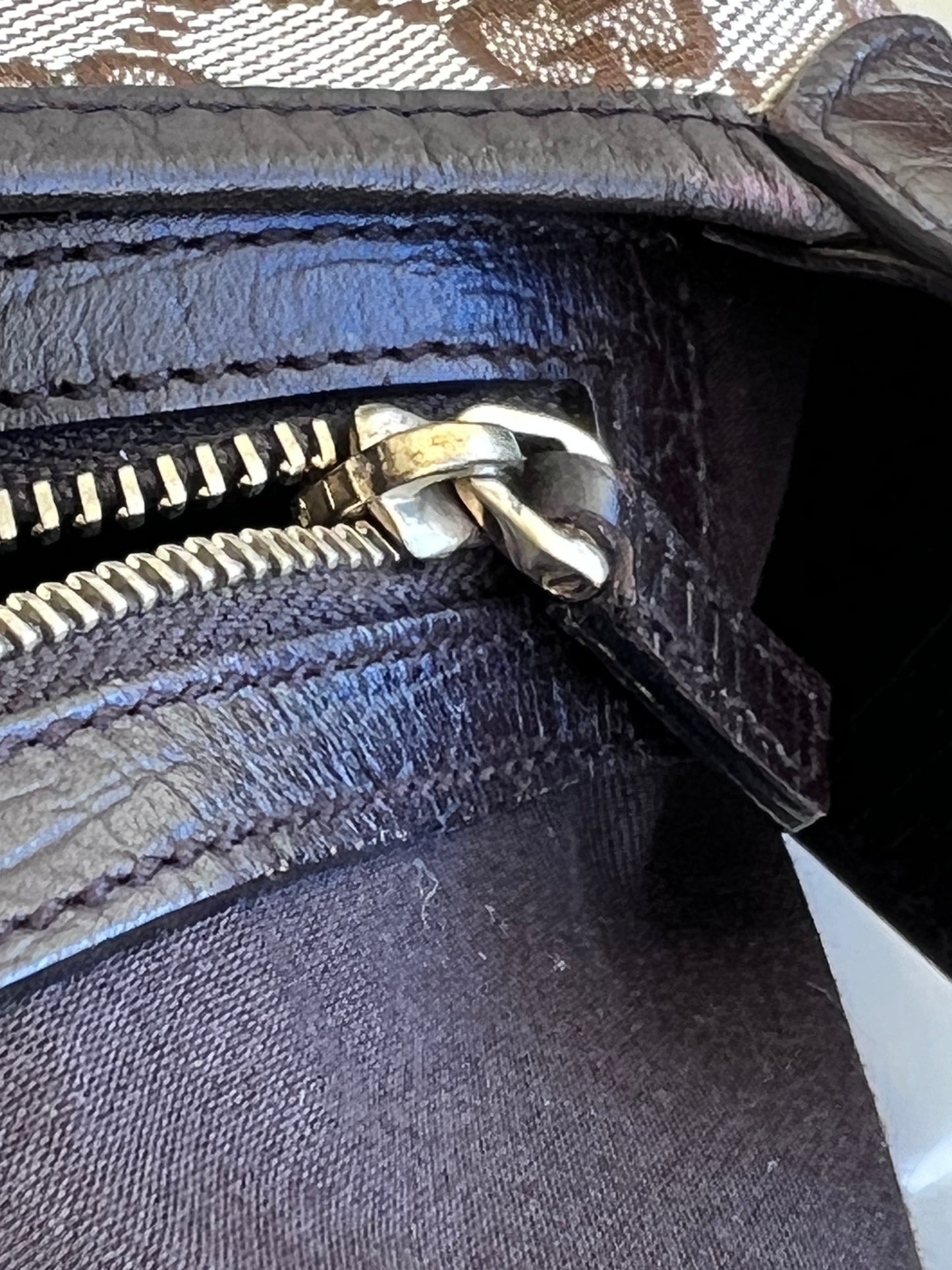 Gucci Junco
