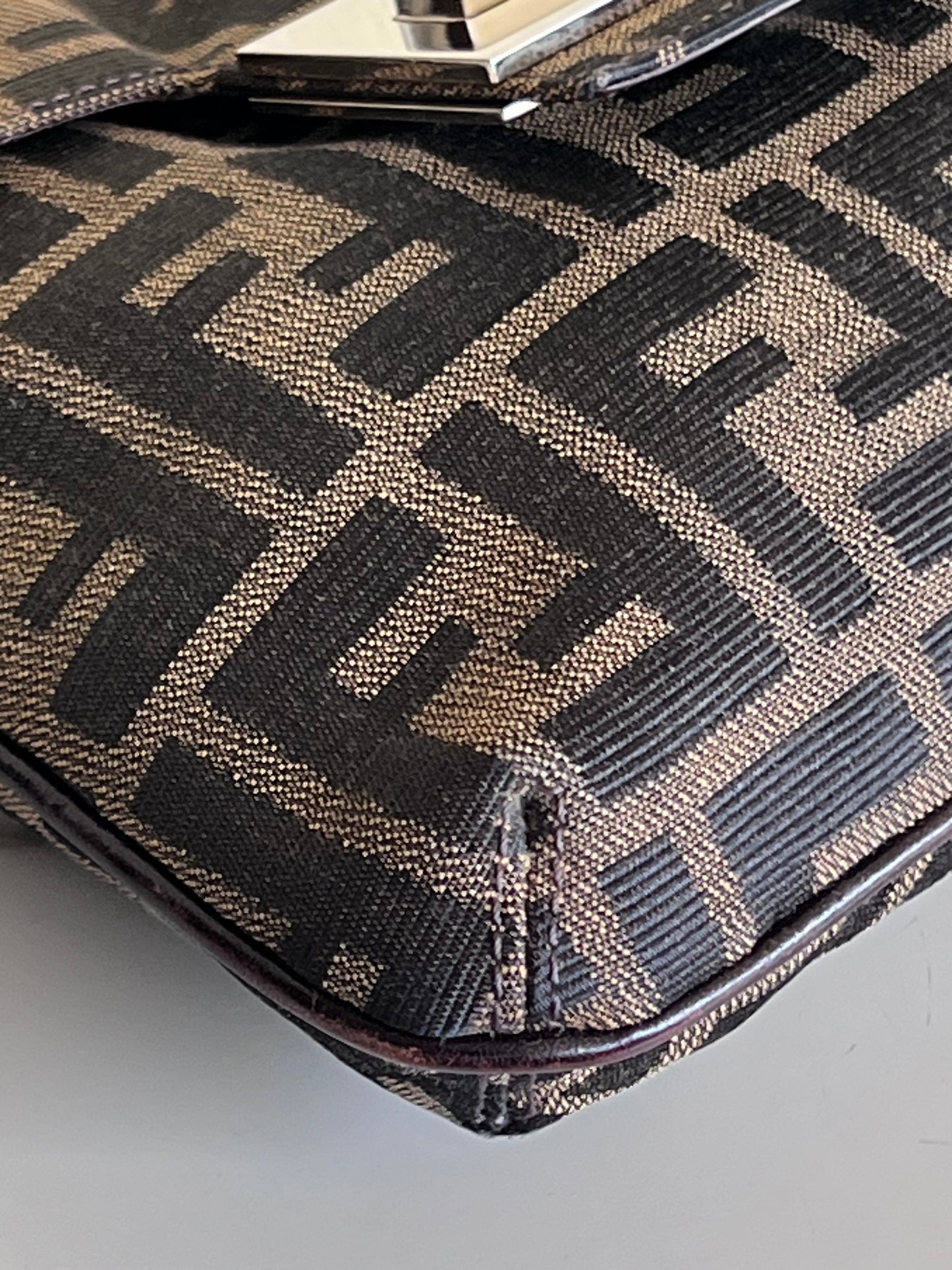 Fendi Zucca