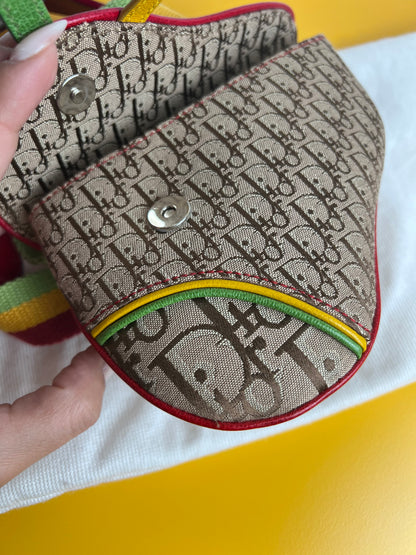 Dior Mini Saddle Rasta