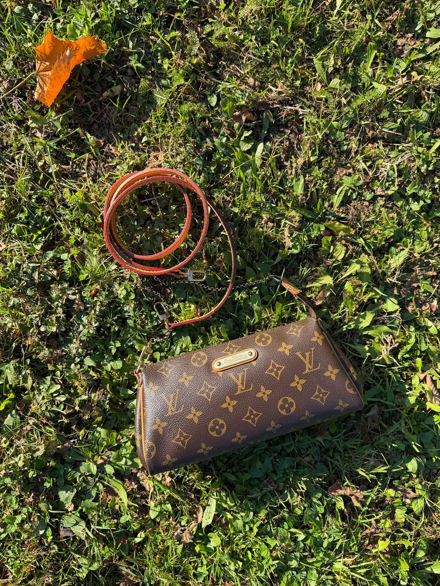 Louis Vuitton Pochette Eva