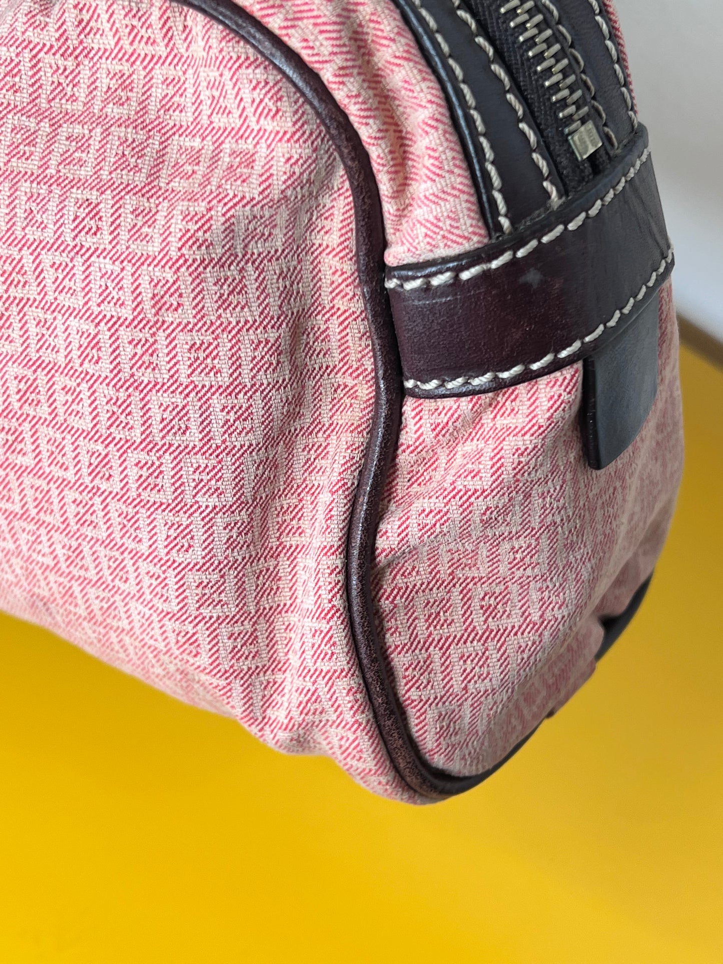 Fendi Bassotto Rosa
