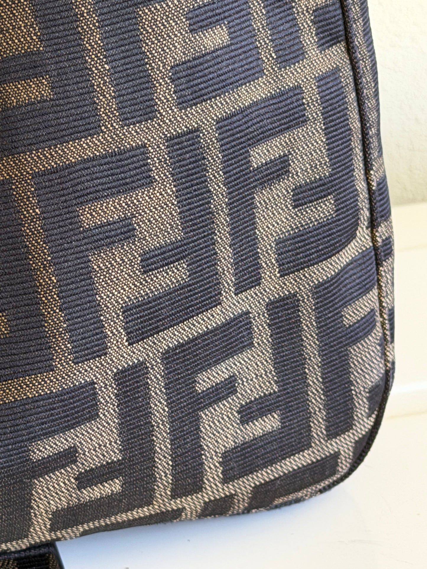 Fendi hobo Zucca