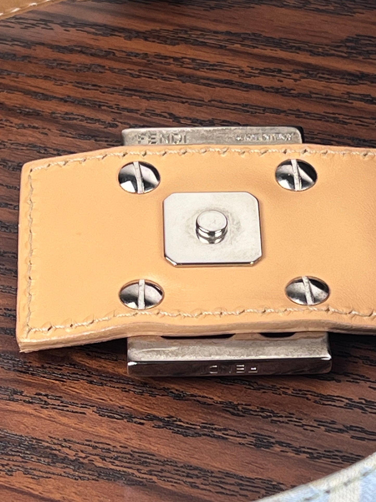 Fendi Hobo Celeste