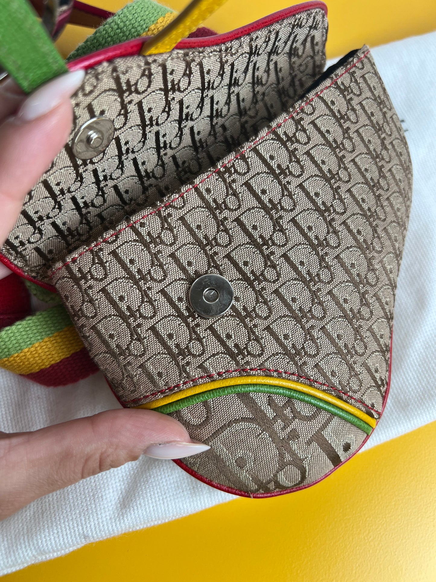 Dior Mini Saddle Rasta