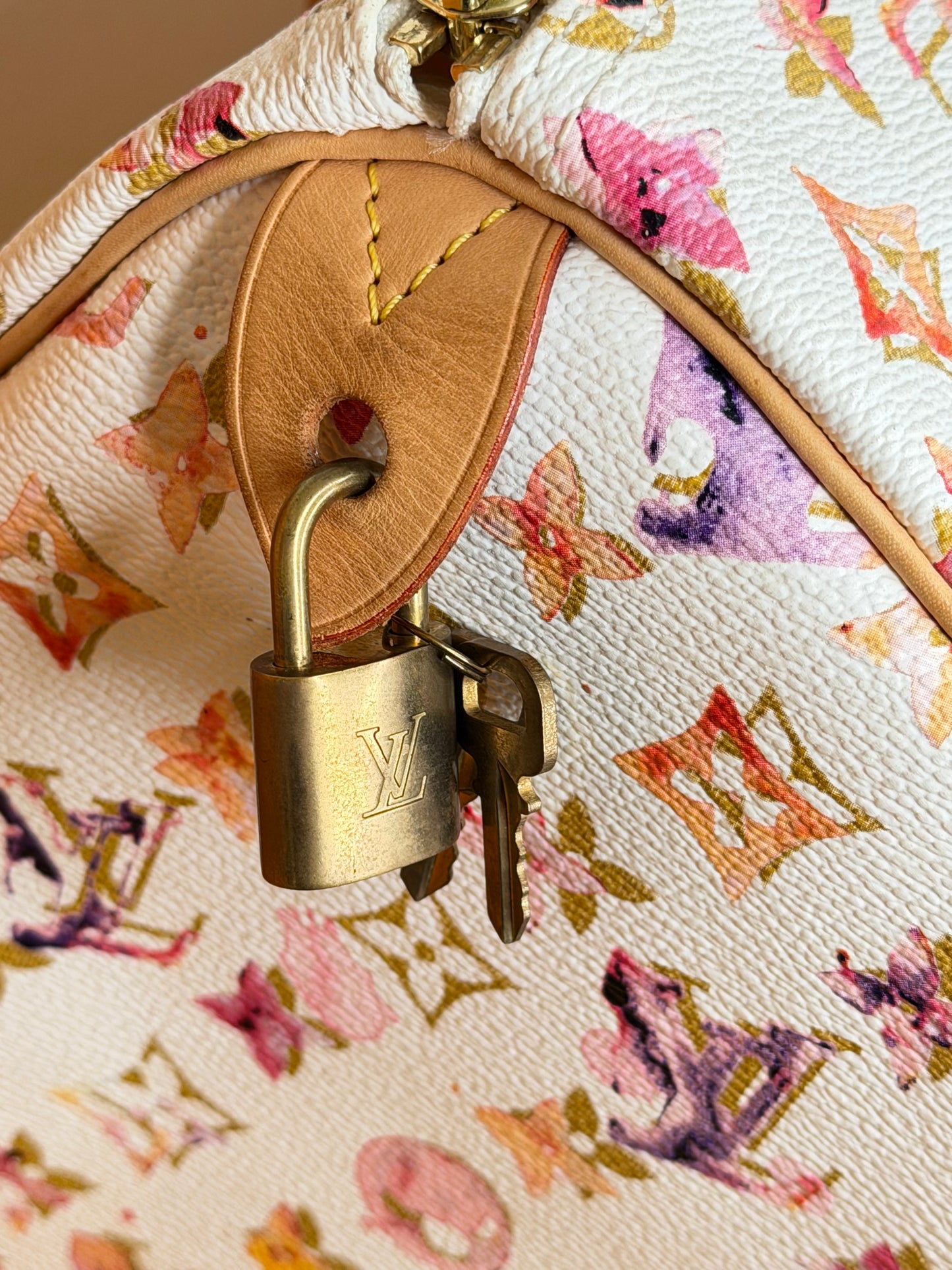 Louis Vuitton Speedy 35 Aquarelle