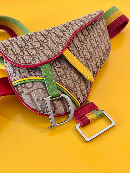 Dior Mini Saddle Rasta