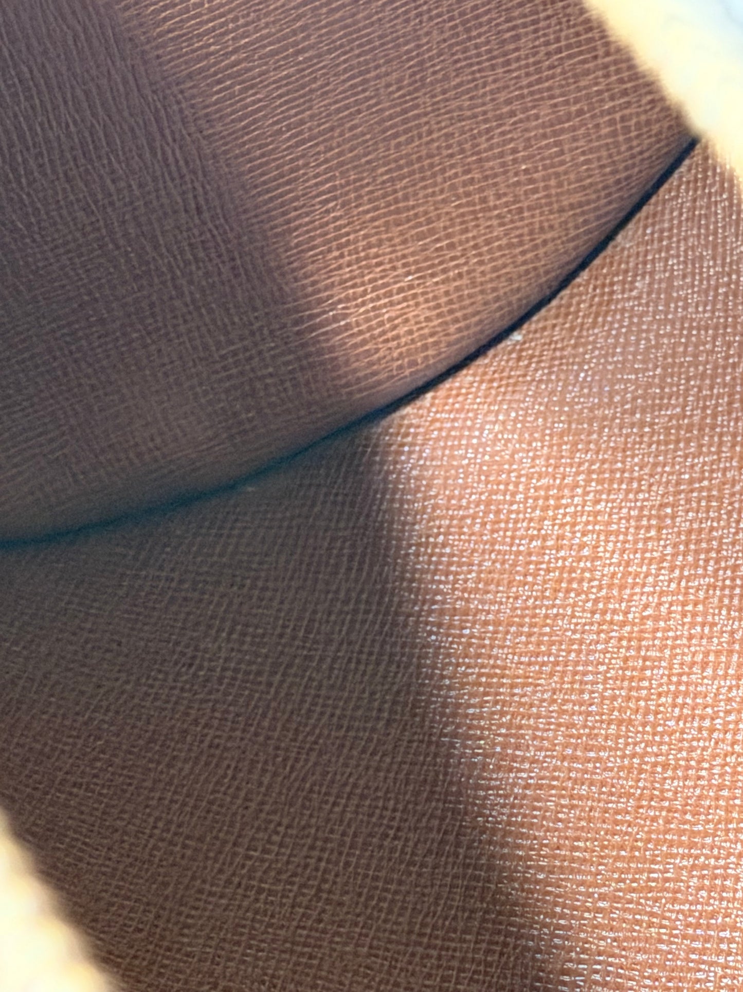 Louis Vuitton Papillon 30