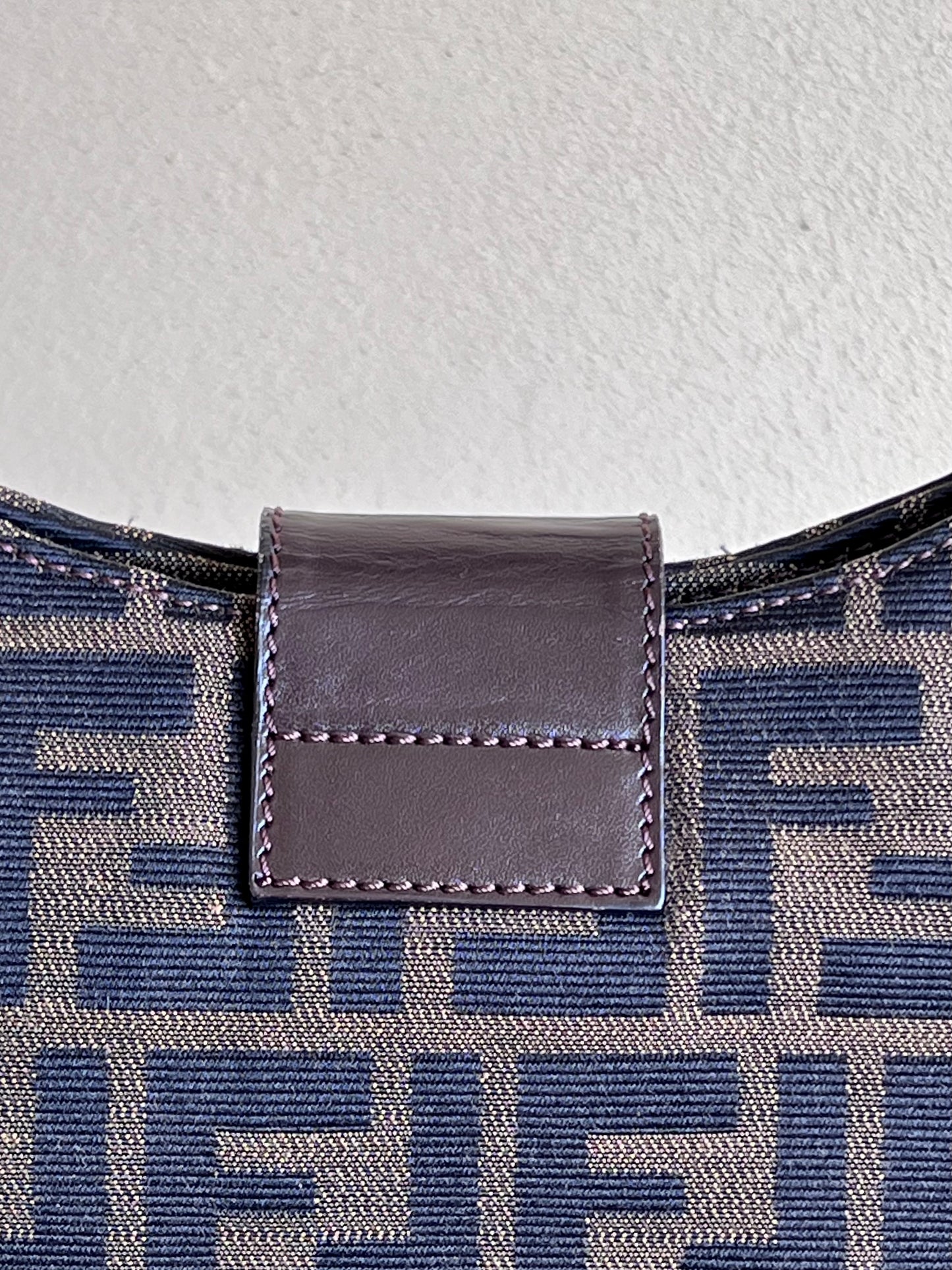 Fendi Hobo Zucca