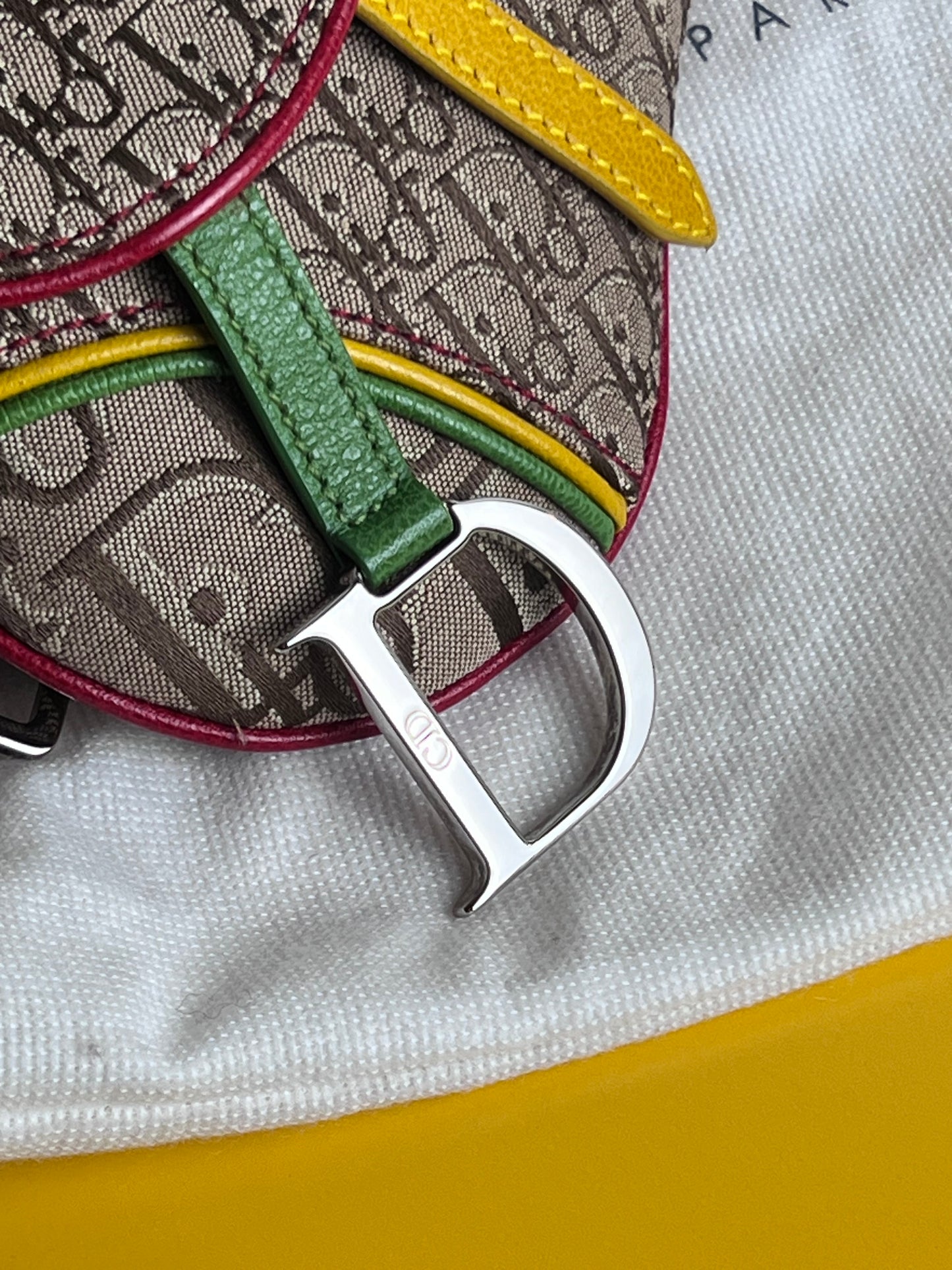 Dior Mini Saddle Rasta