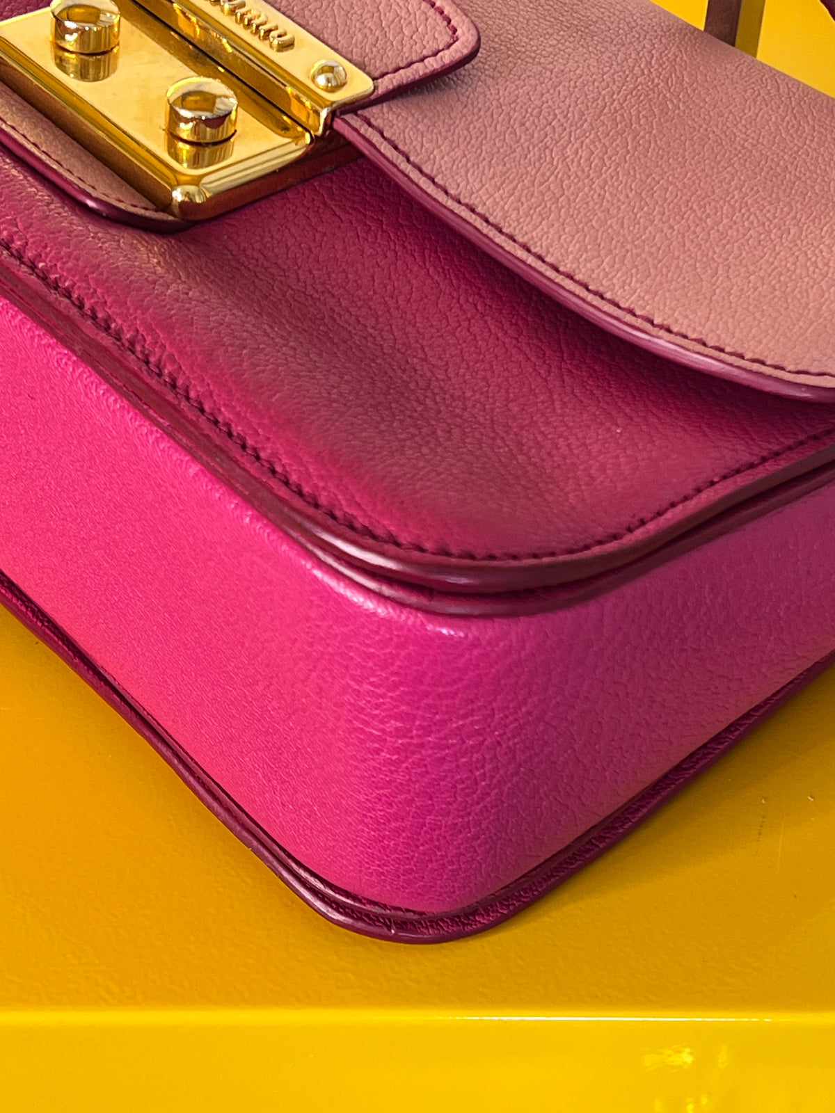 Miu Miu cartella