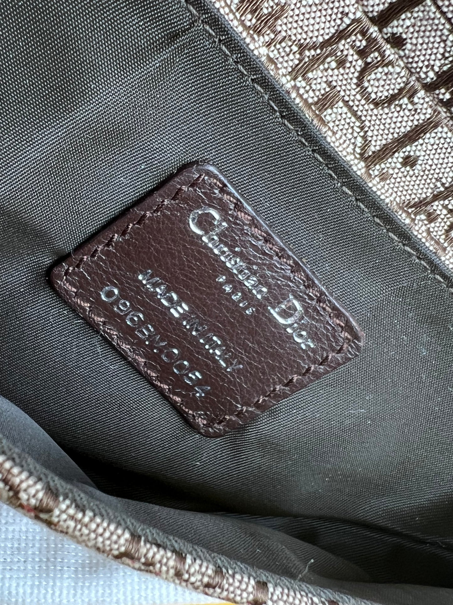Dior Mini Saddle Rasta