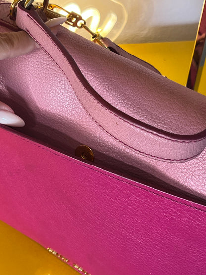 Miu Miu cartella