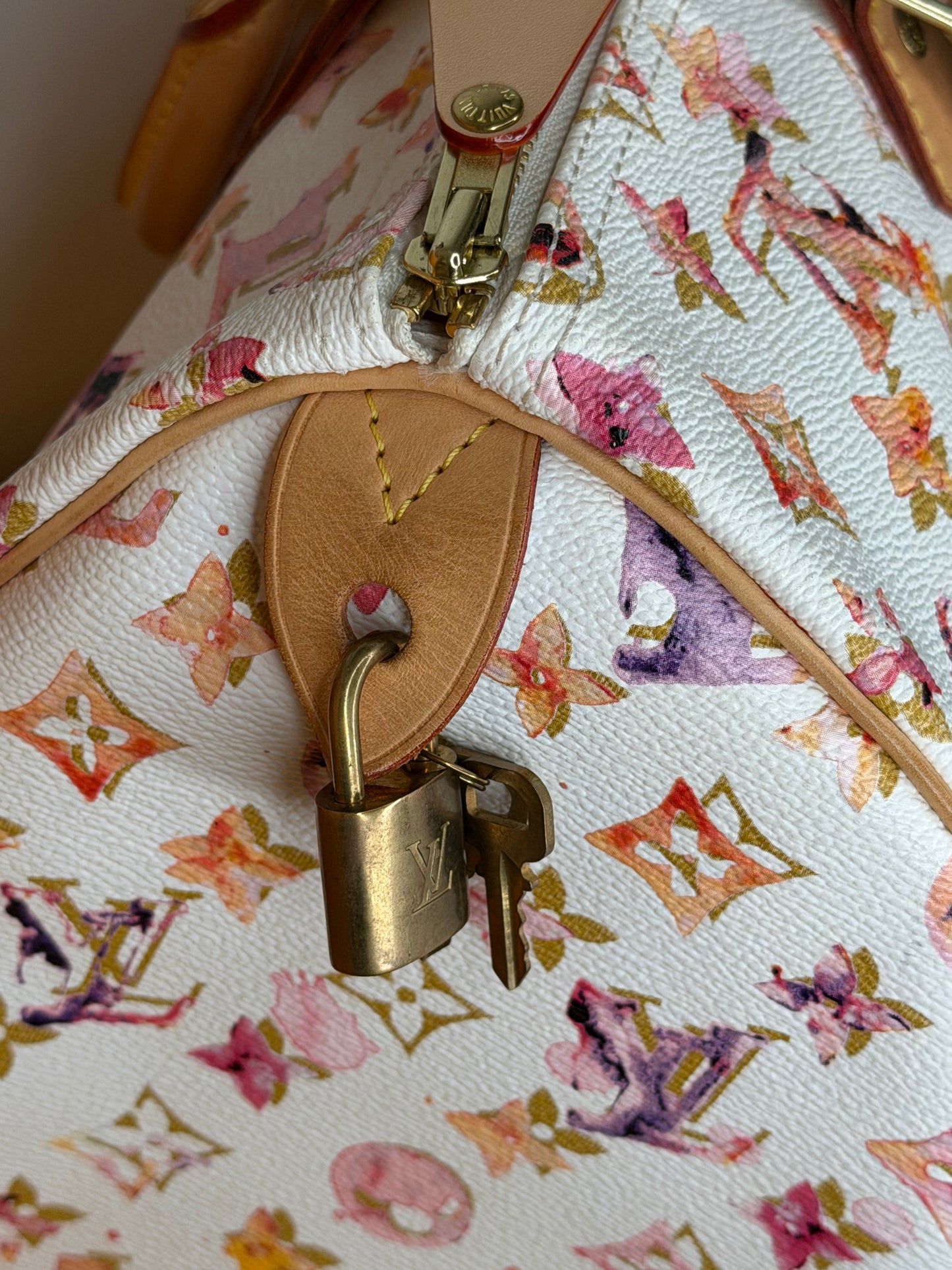 Louis Vuitton Speedy 35 Aquarelle