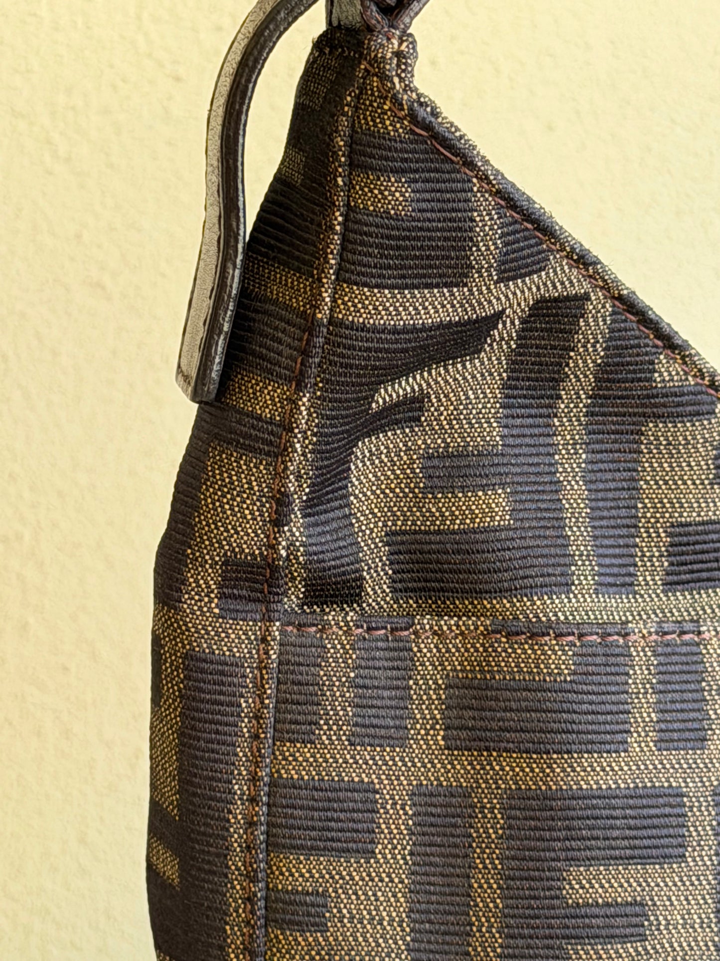 Fendi hobo Zucca