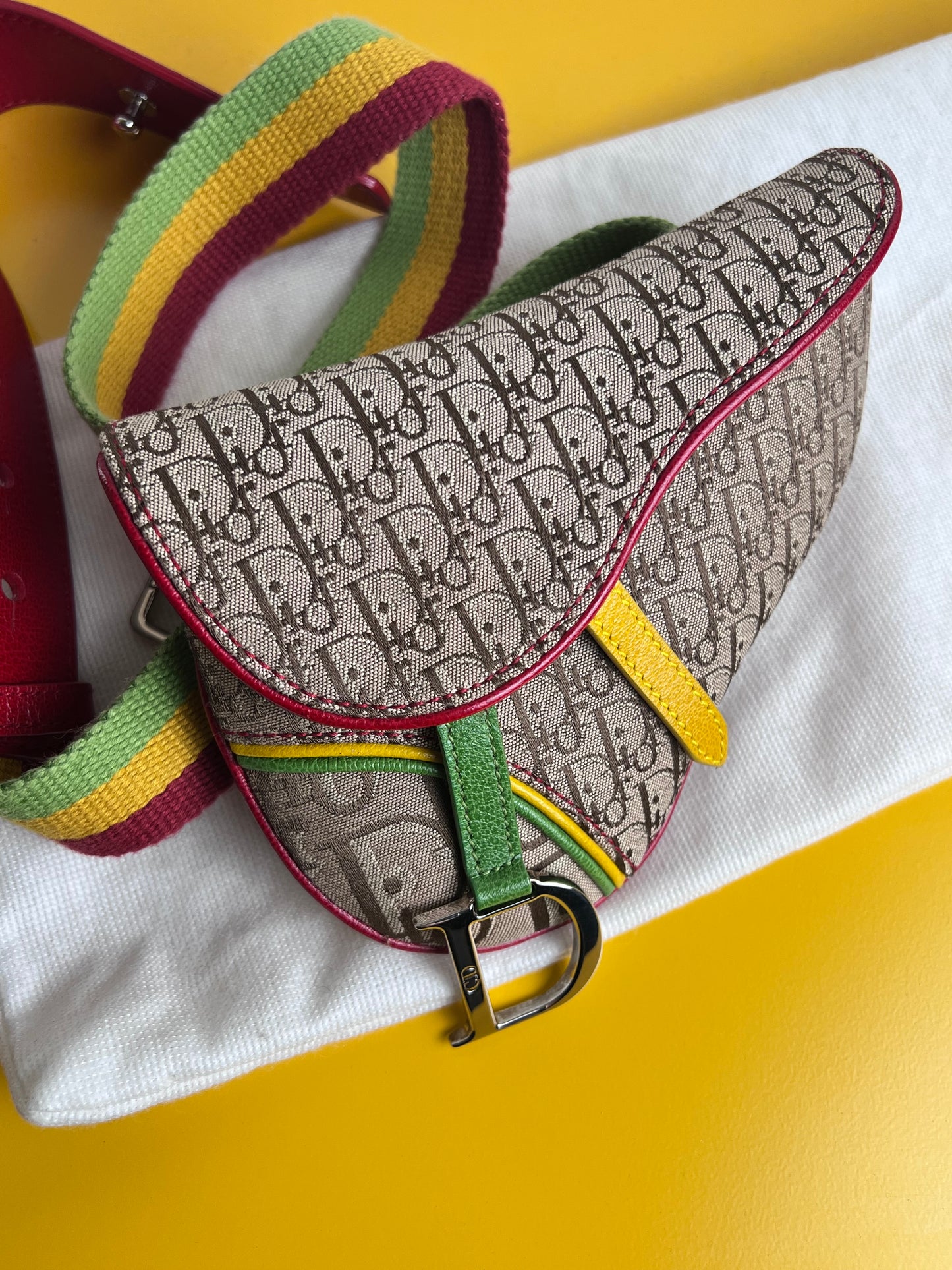 Dior Mini Saddle Rasta