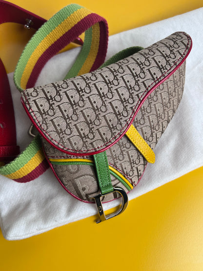 Dior Mini Saddle Rasta