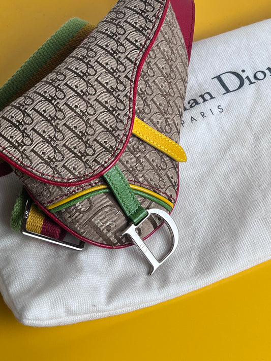 Dior Mini Saddle Rasta