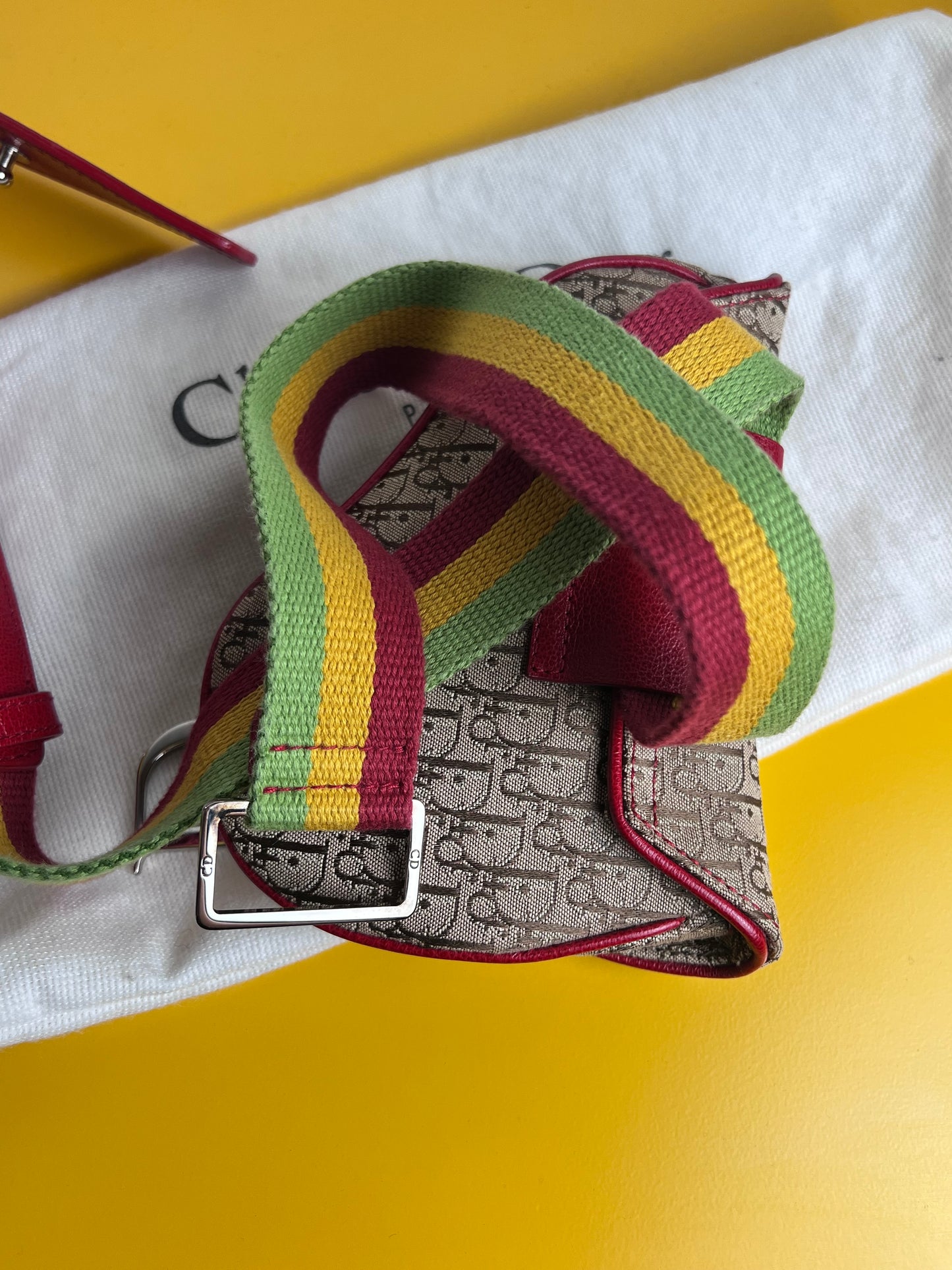 Dior Mini Saddle Rasta