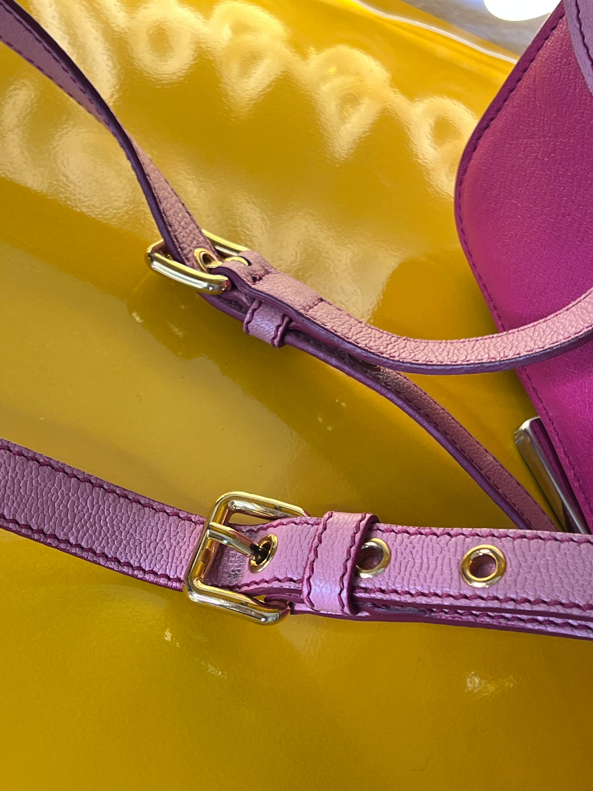 Miu Miu cartella