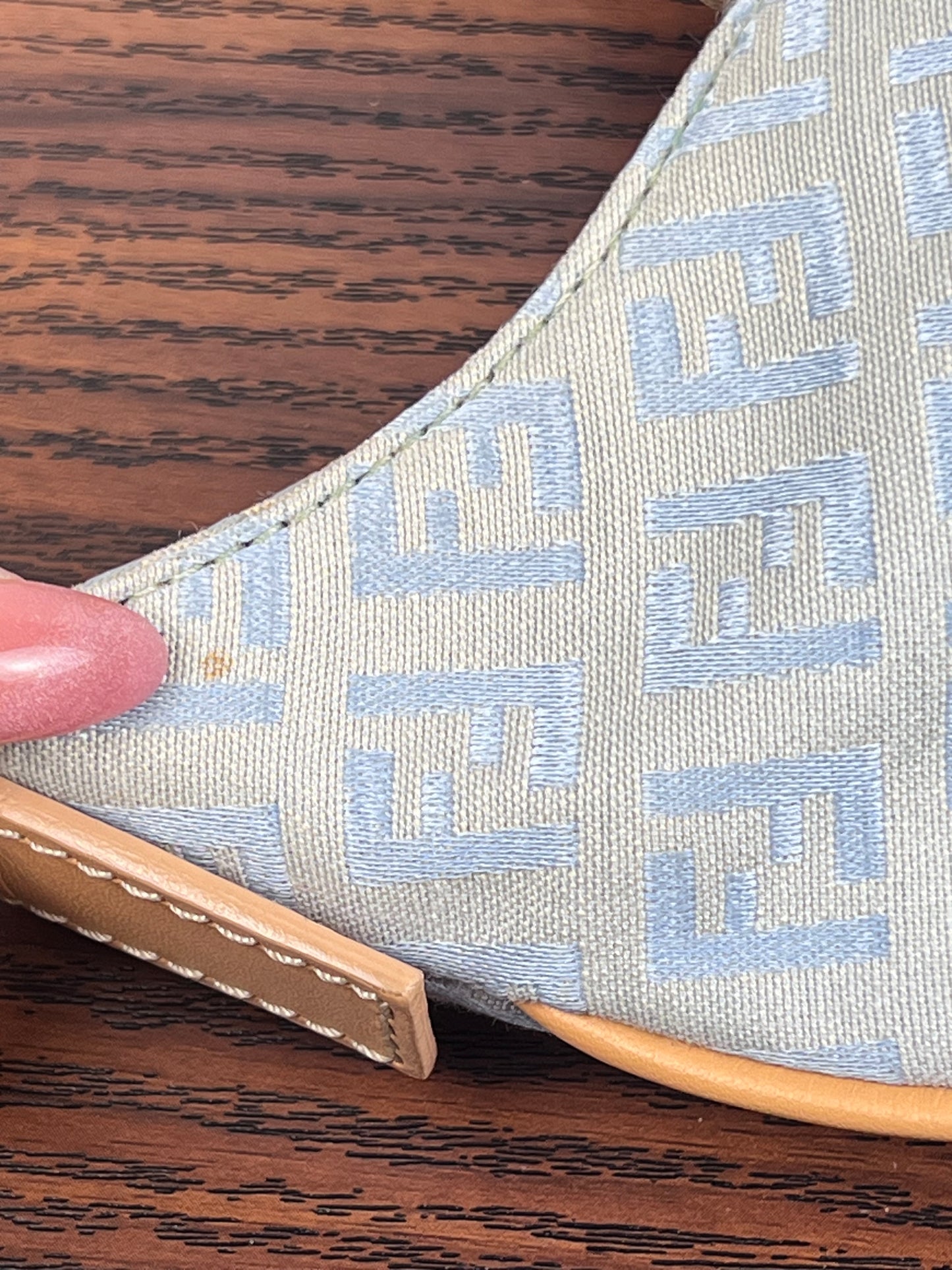Fendi Hobo Celeste