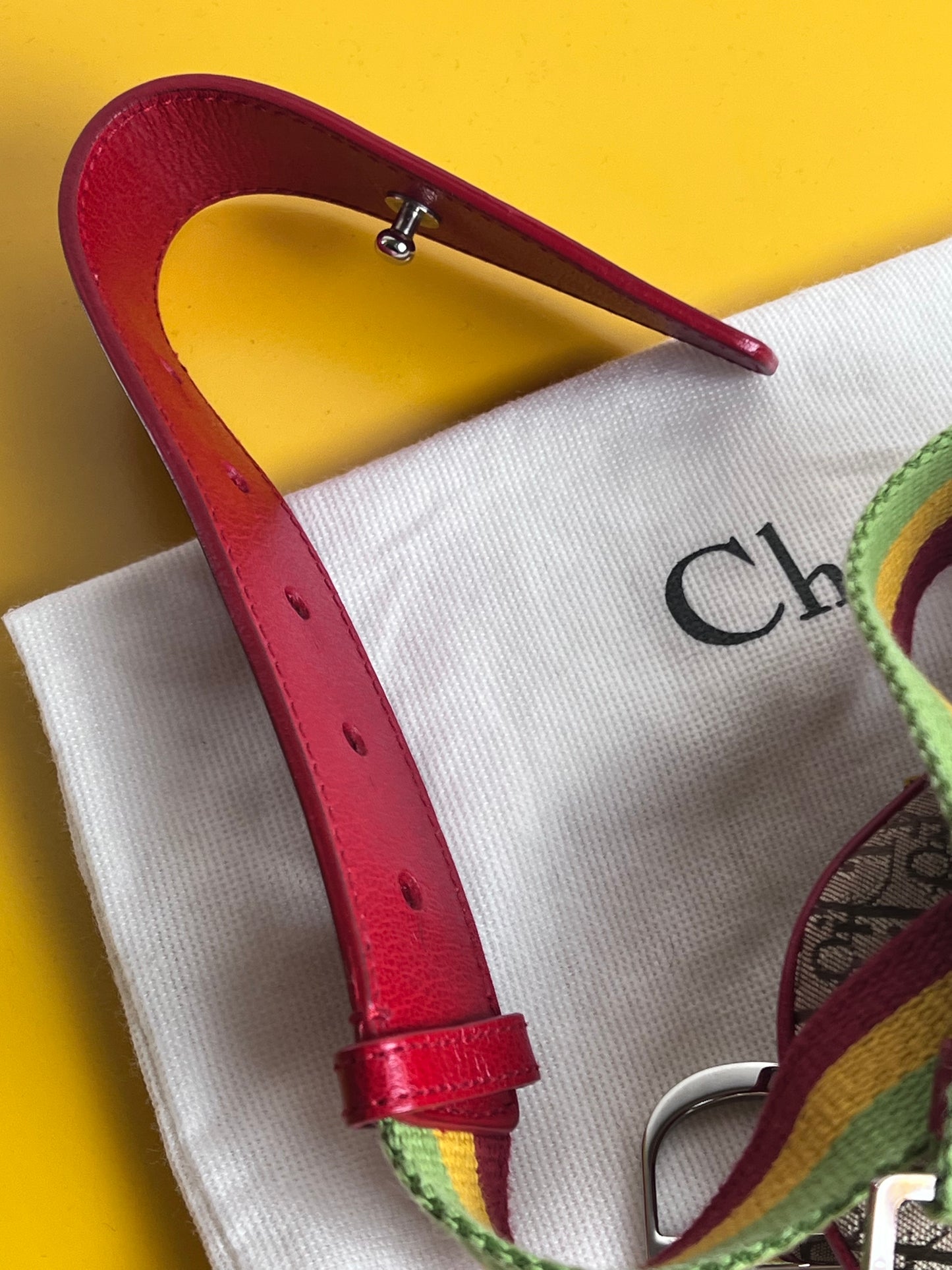 Dior Mini Saddle Rasta