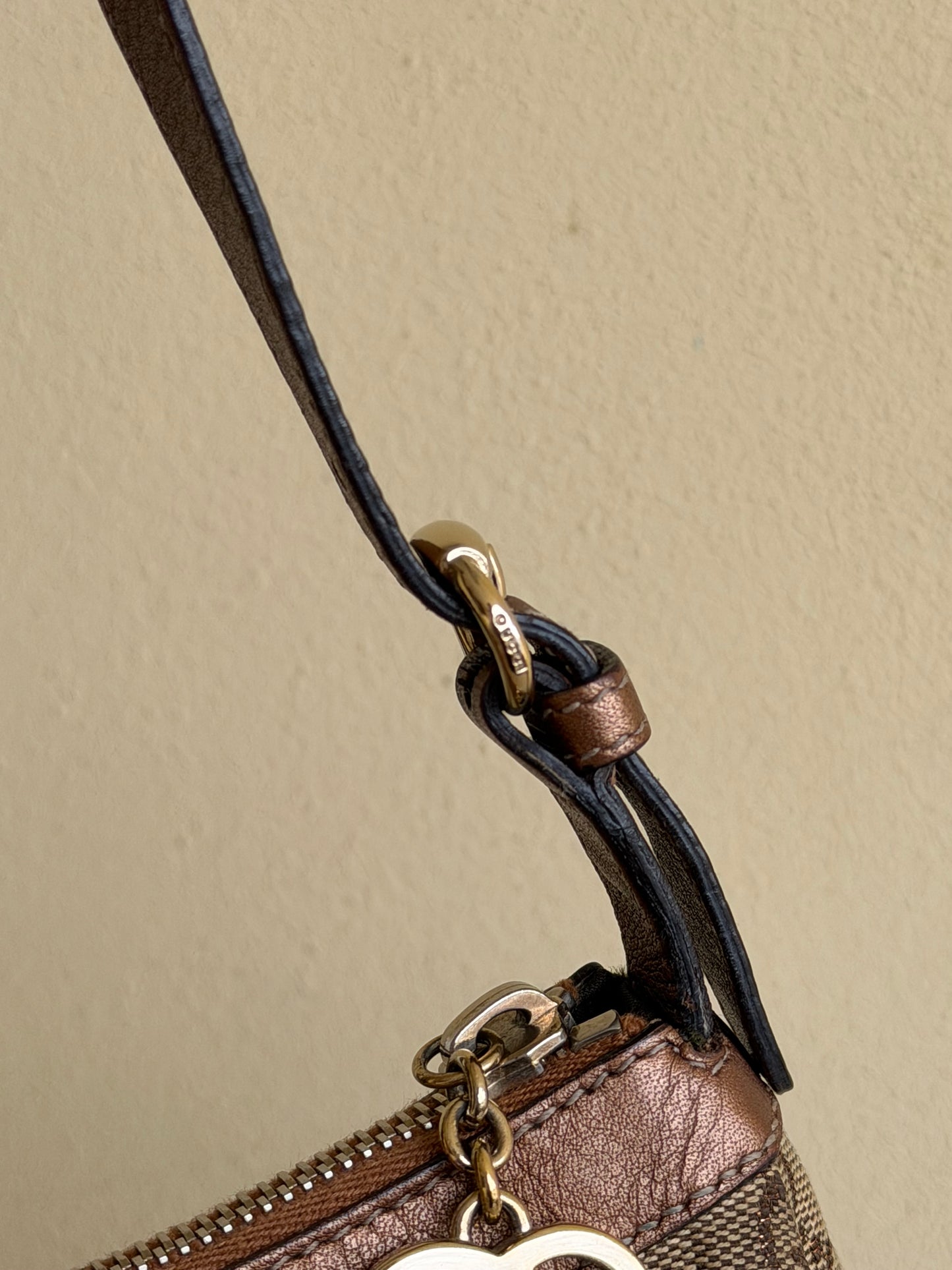 Gucci pochette charmy