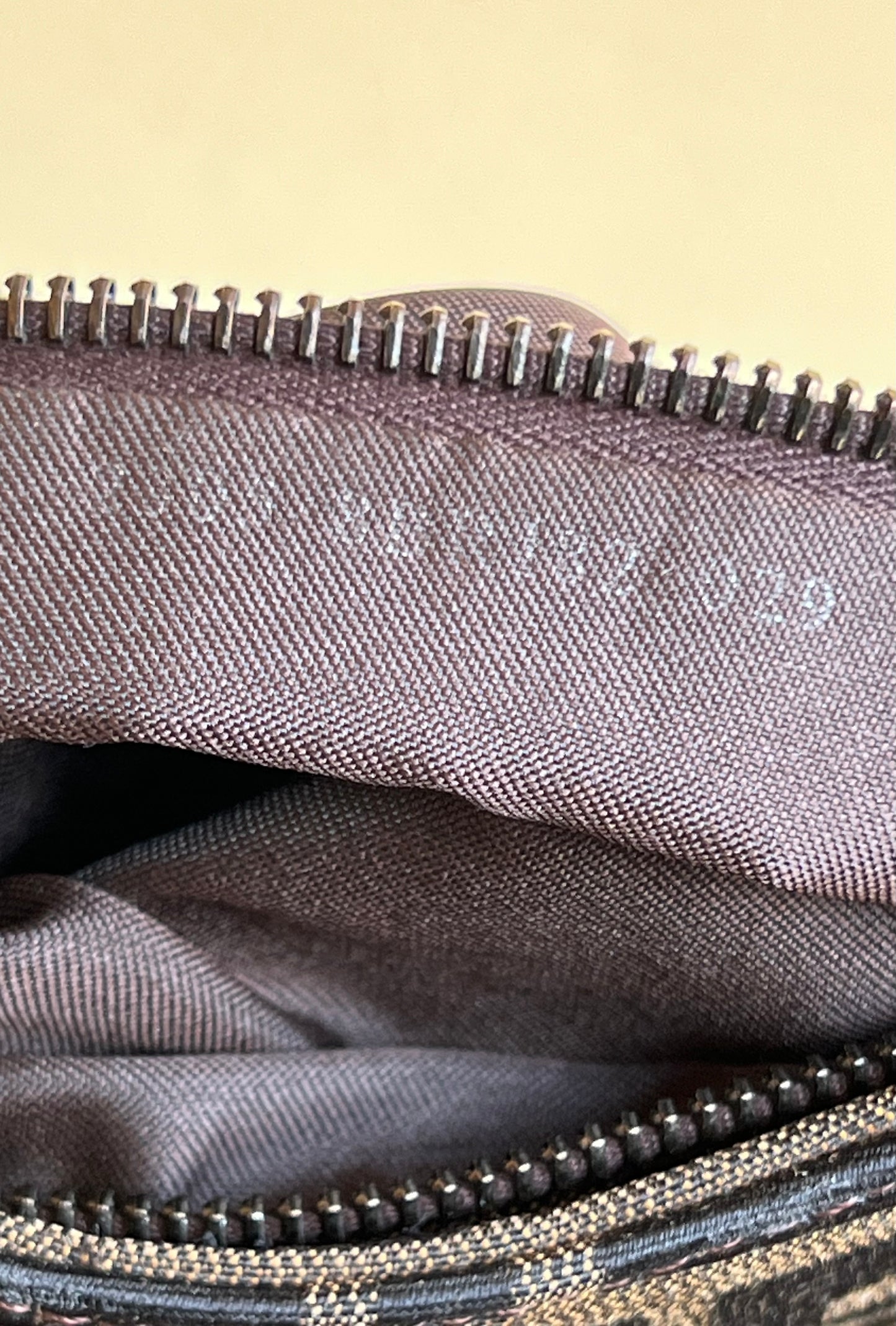Fendi Hobo Zucca