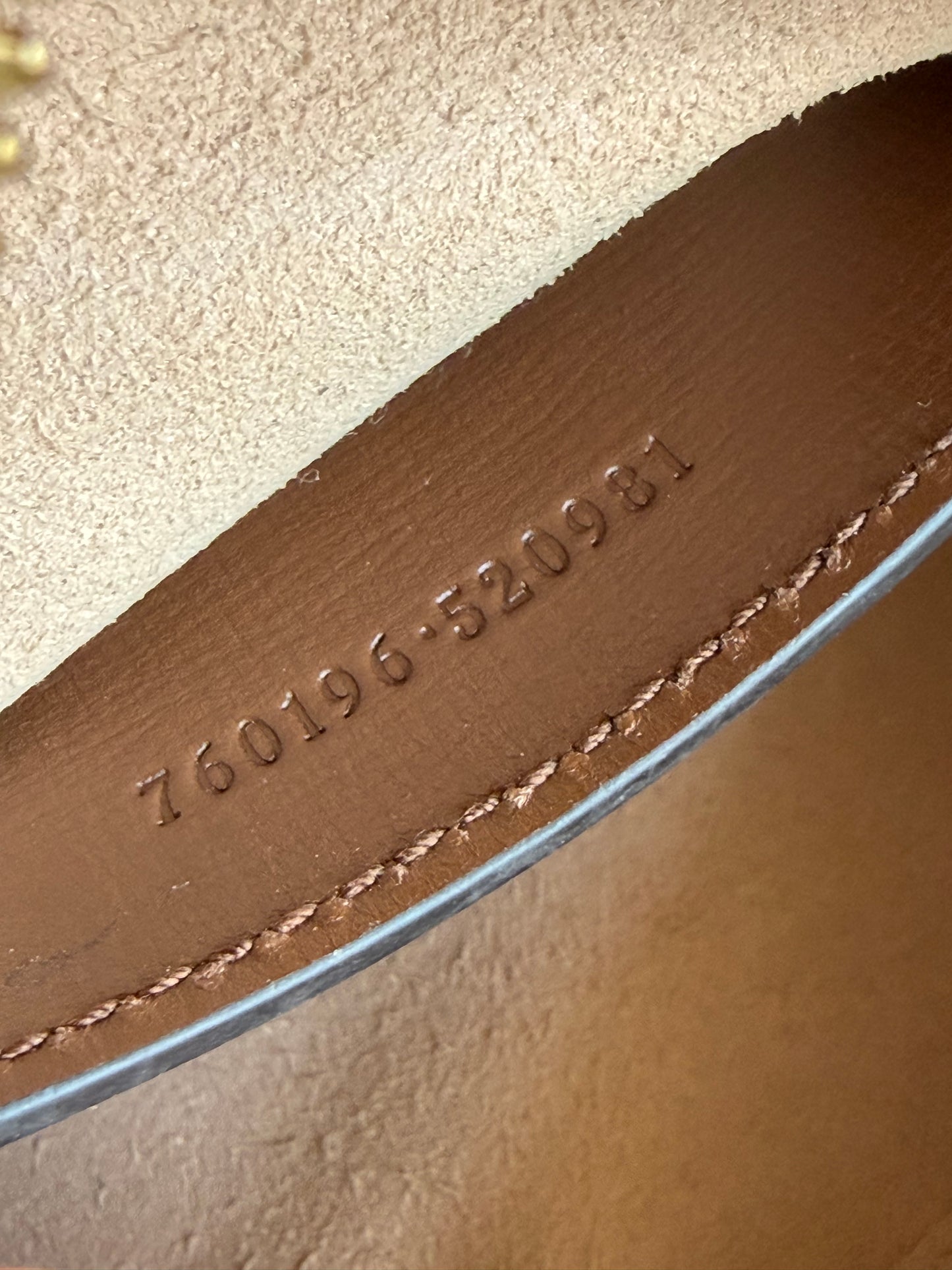 Gucci camera bag Horsebit 1955
