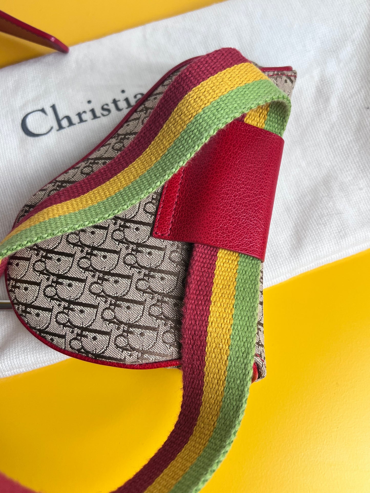 Dior Mini Saddle Rasta