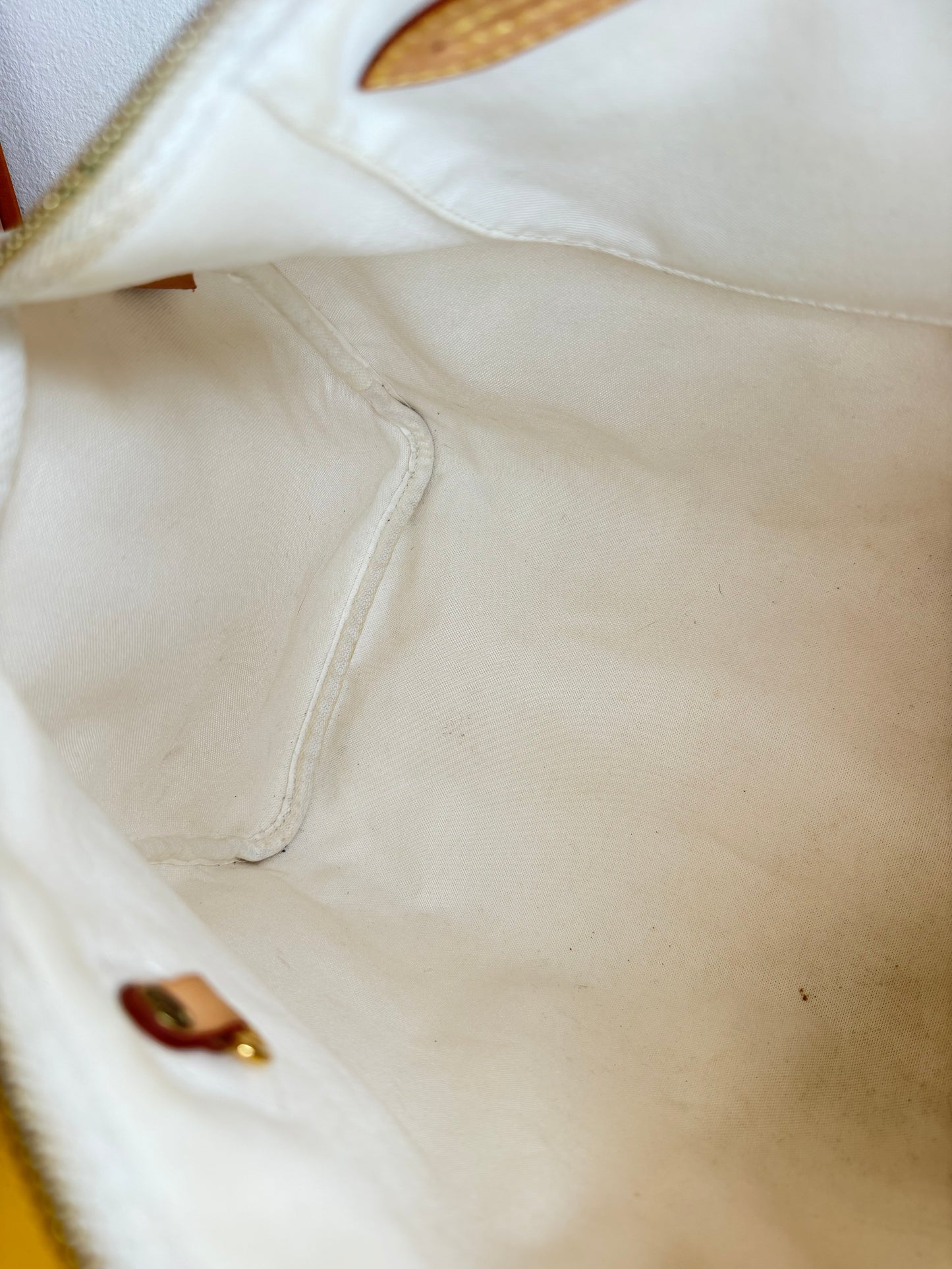 Louis Vuitton Speedy 35 Aquarelle