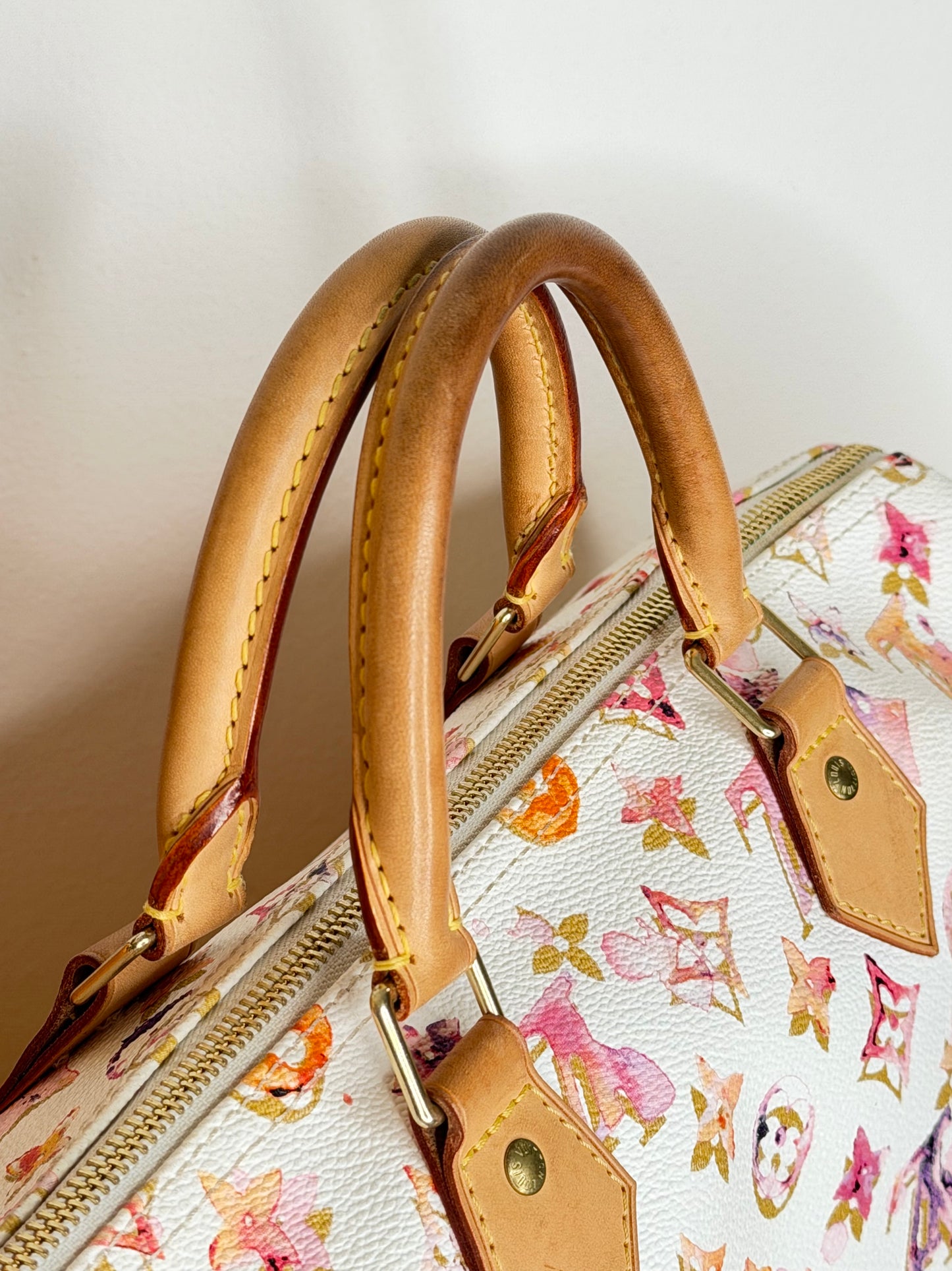 Louis Vuitton Speedy 35 Aquarelle