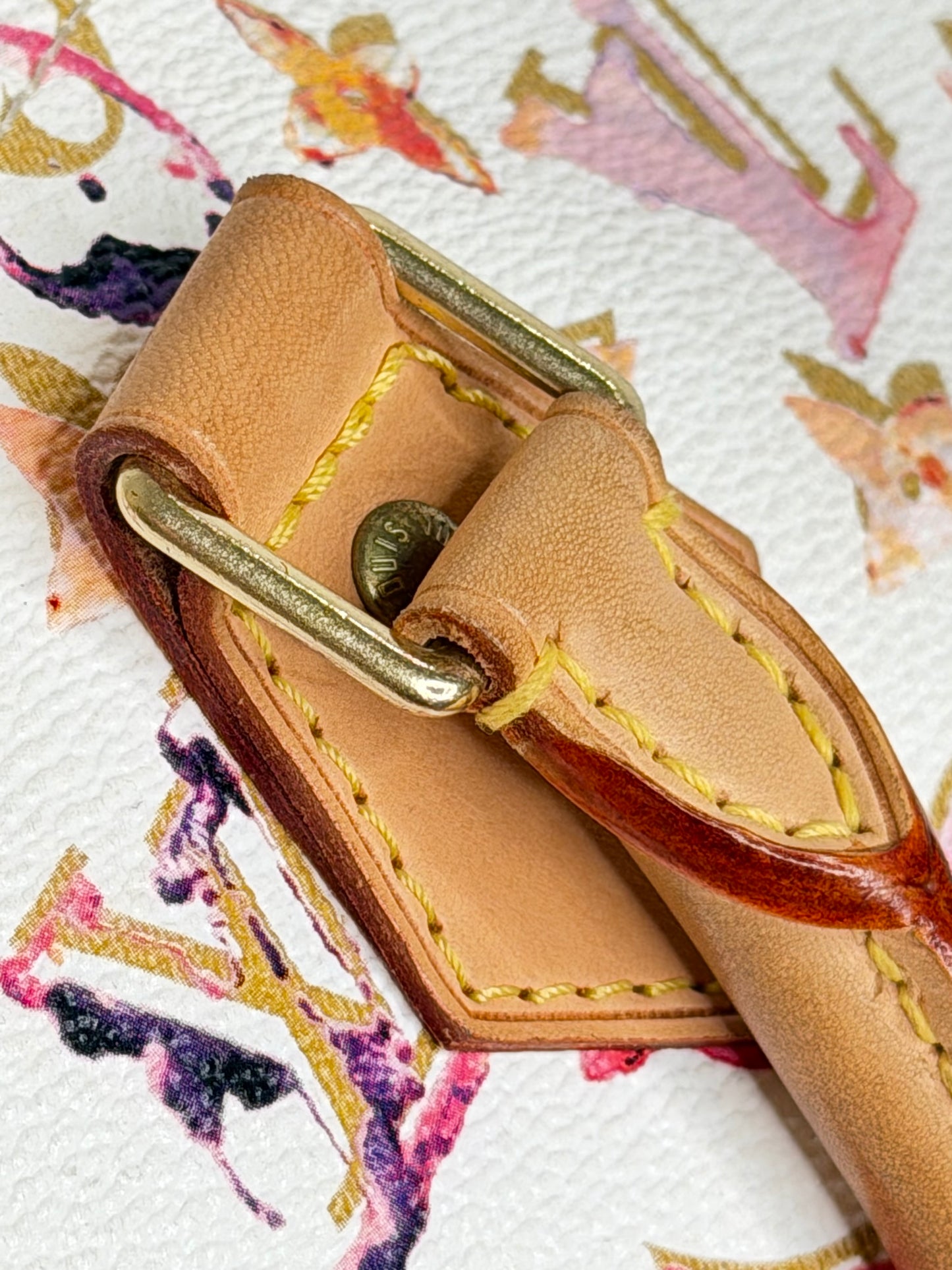 Louis Vuitton Speedy 35 Aquarelle