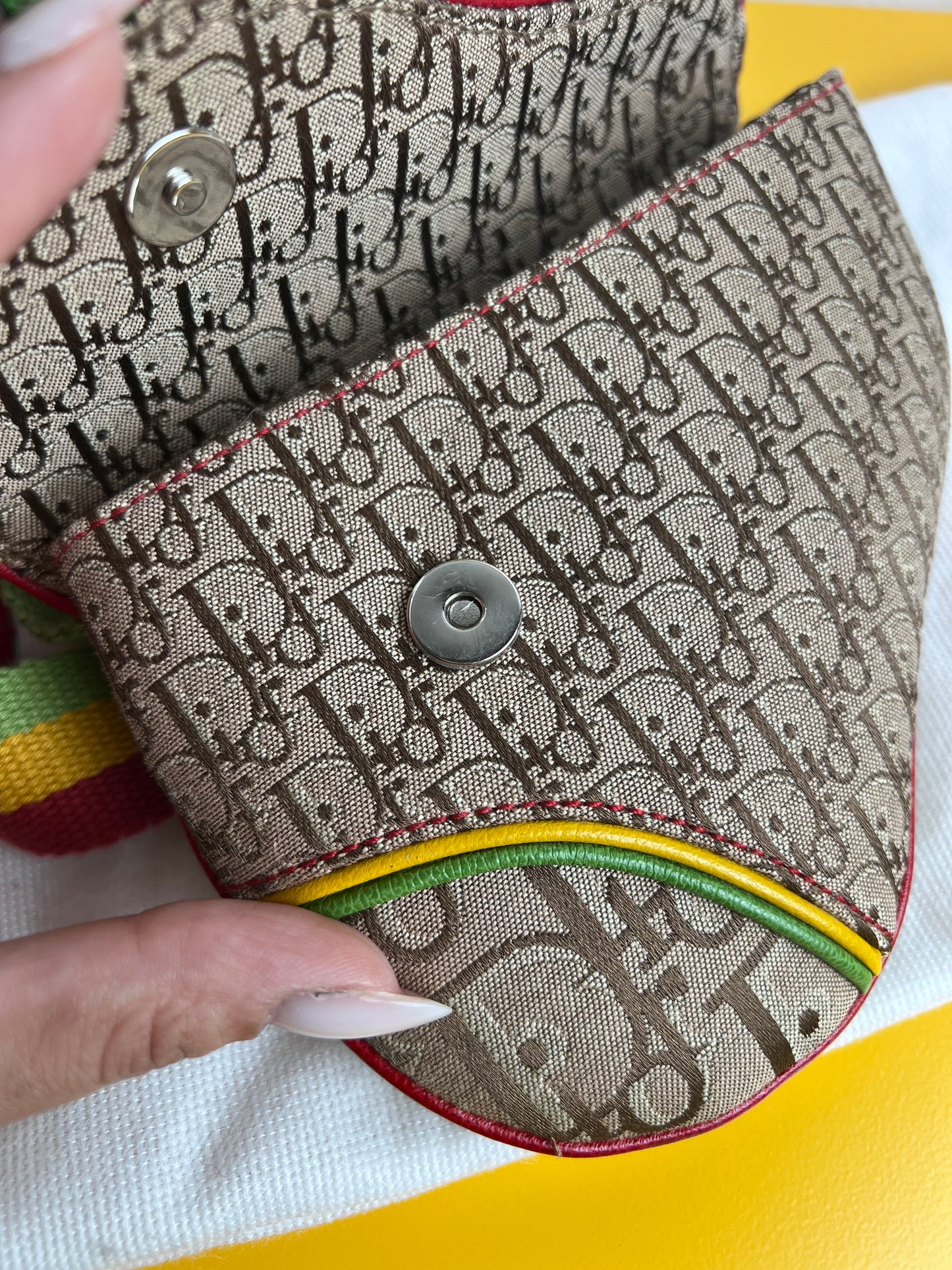 Dior Mini Saddle Rasta