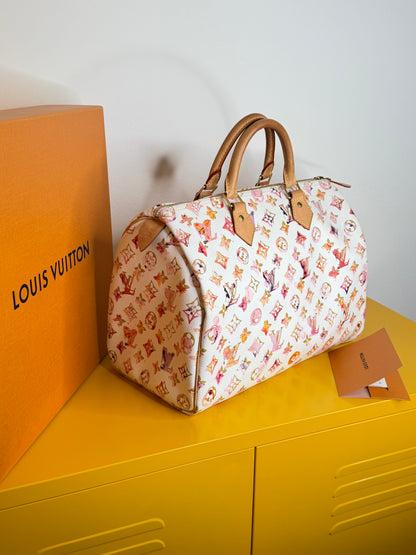 Louis Vuitton Speedy 35 Aquarelle