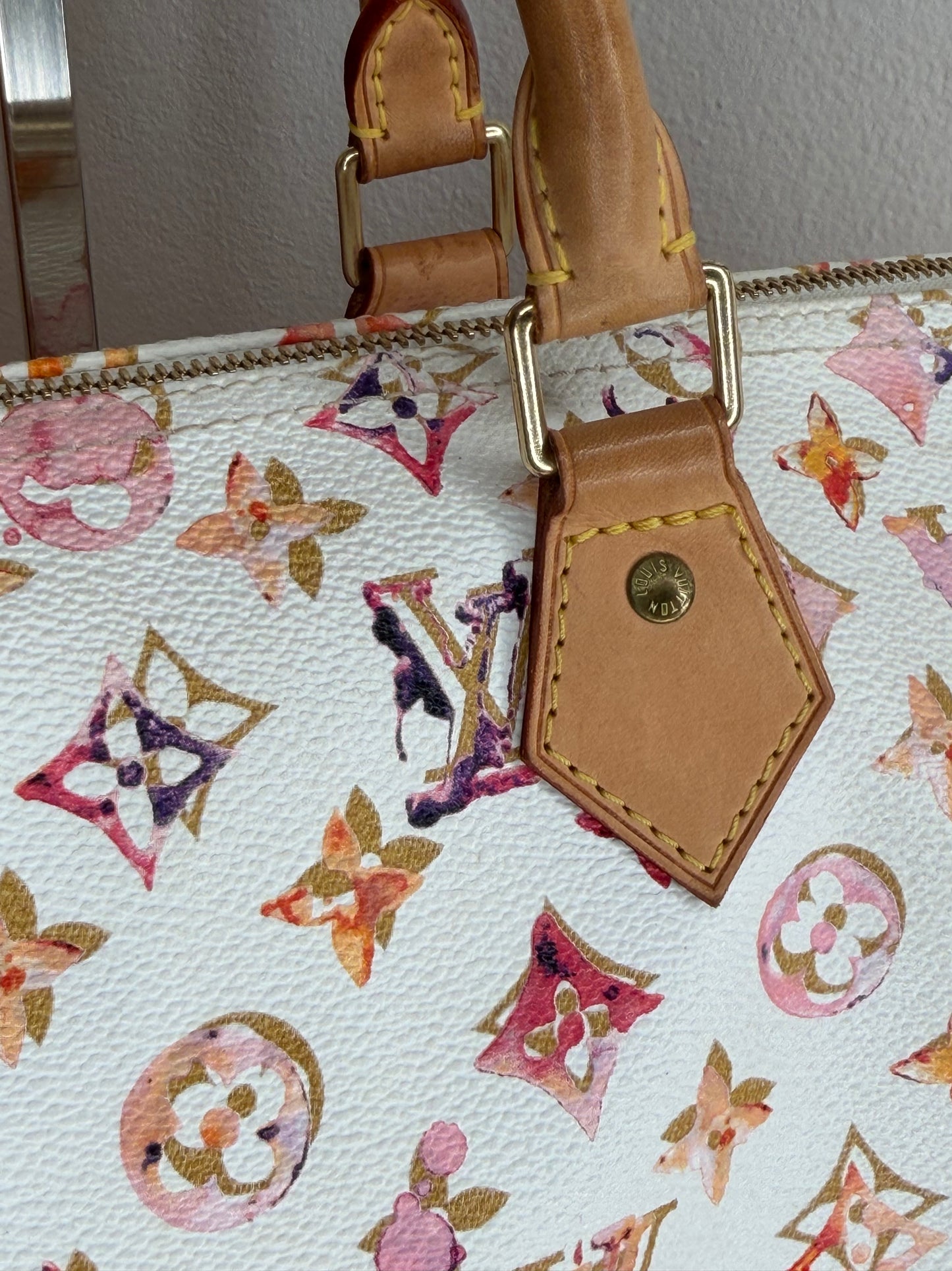 Louis Vuitton Speedy 35 Aquarelle