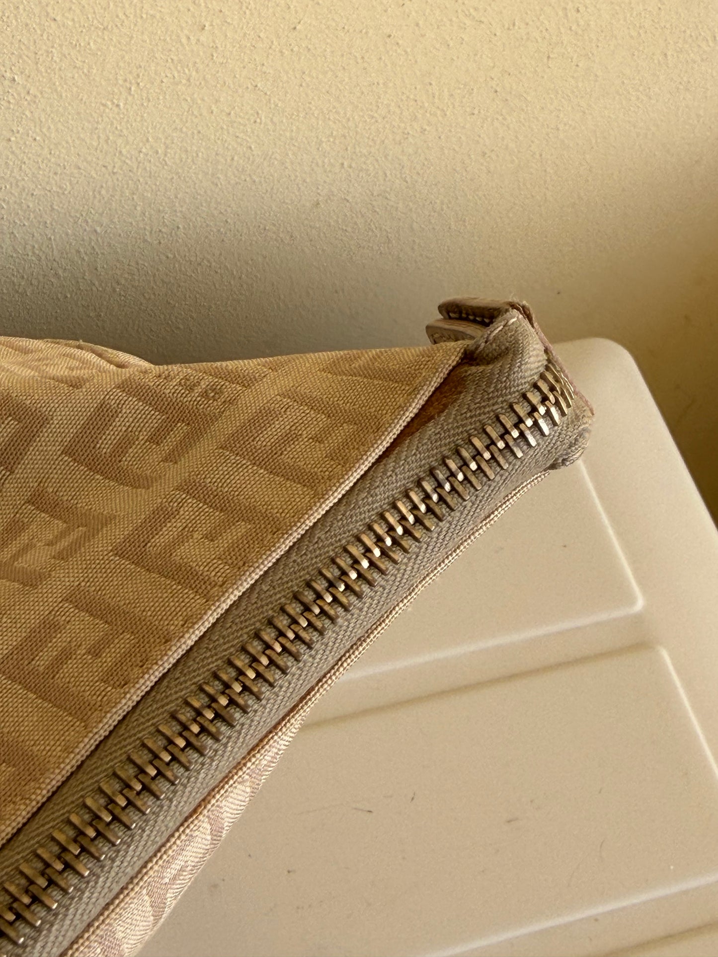 Fendi Tote Zucchino