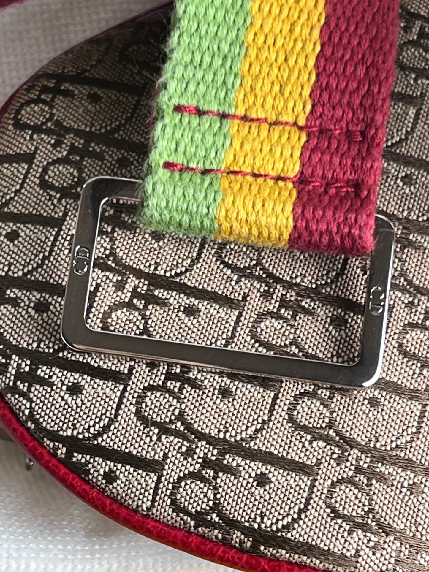 Dior Mini Saddle Rasta