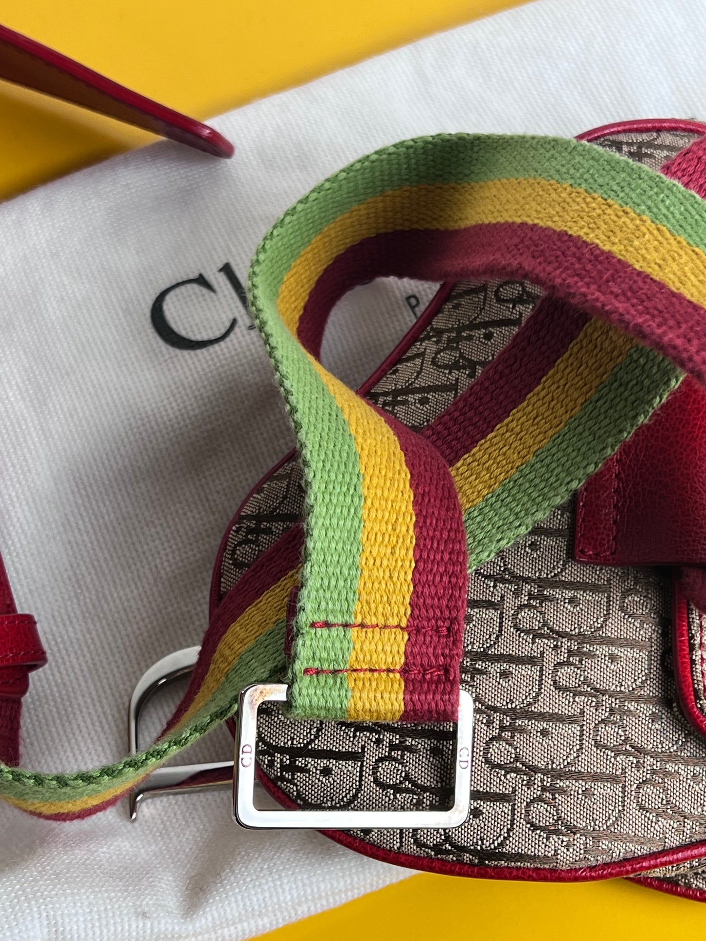 Dior Mini Saddle Rasta