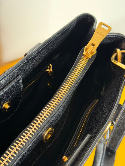 Miu Miu tote shine