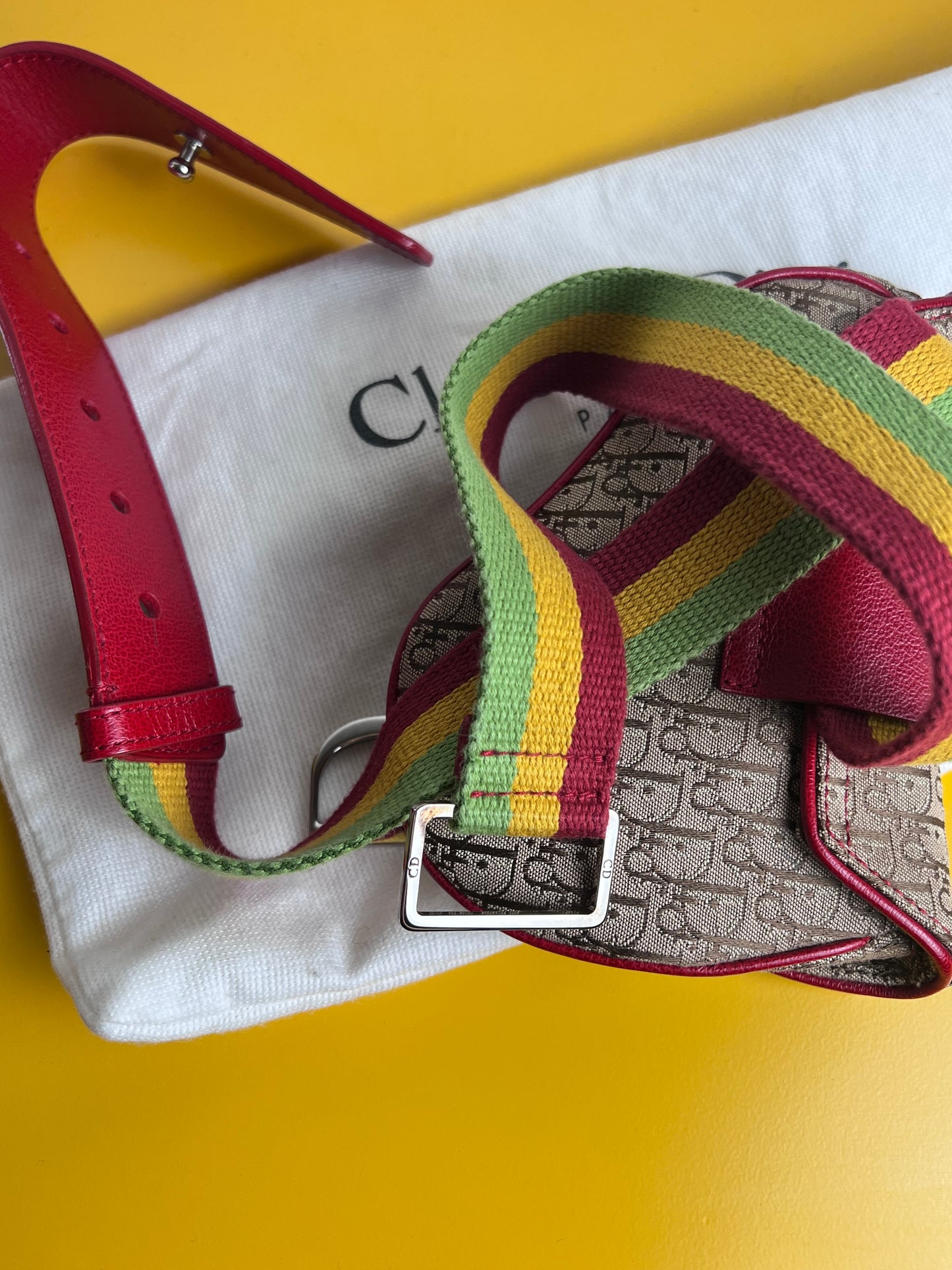 Dior Mini Saddle Rasta