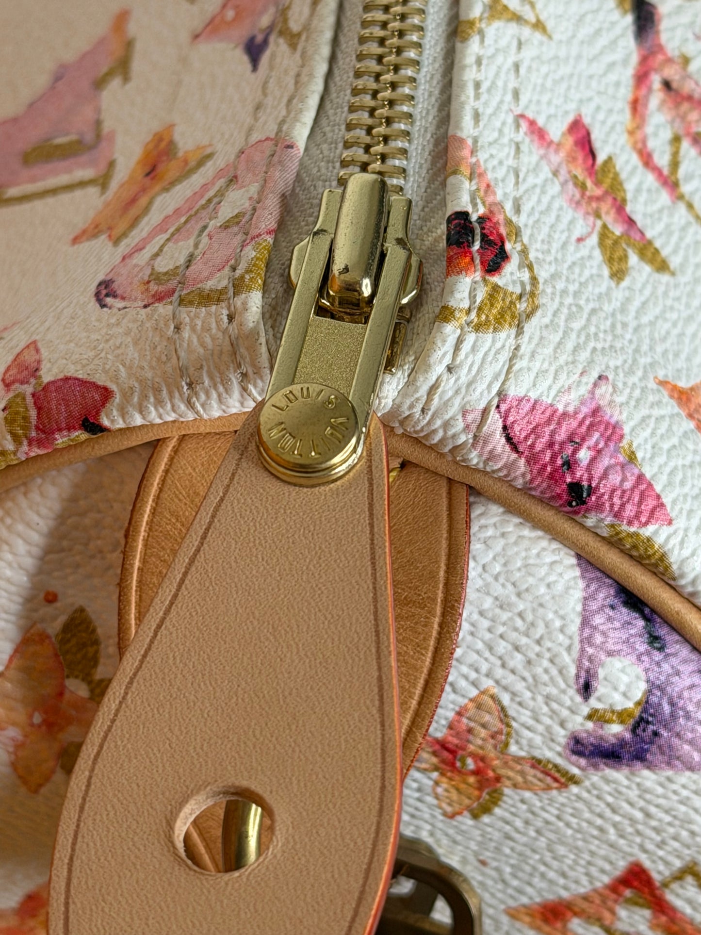 Louis Vuitton Speedy 35 Aquarelle
