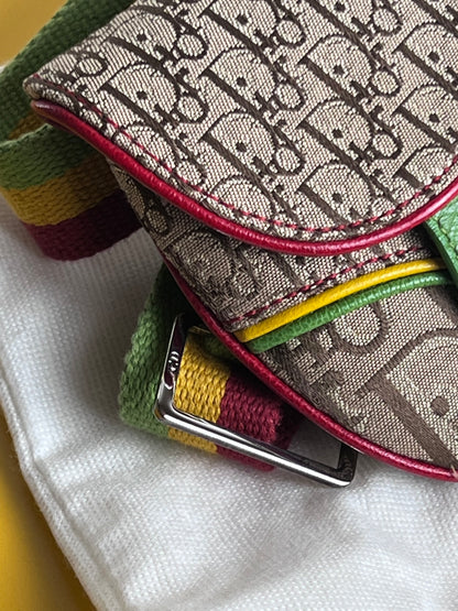 Dior Mini Saddle Rasta