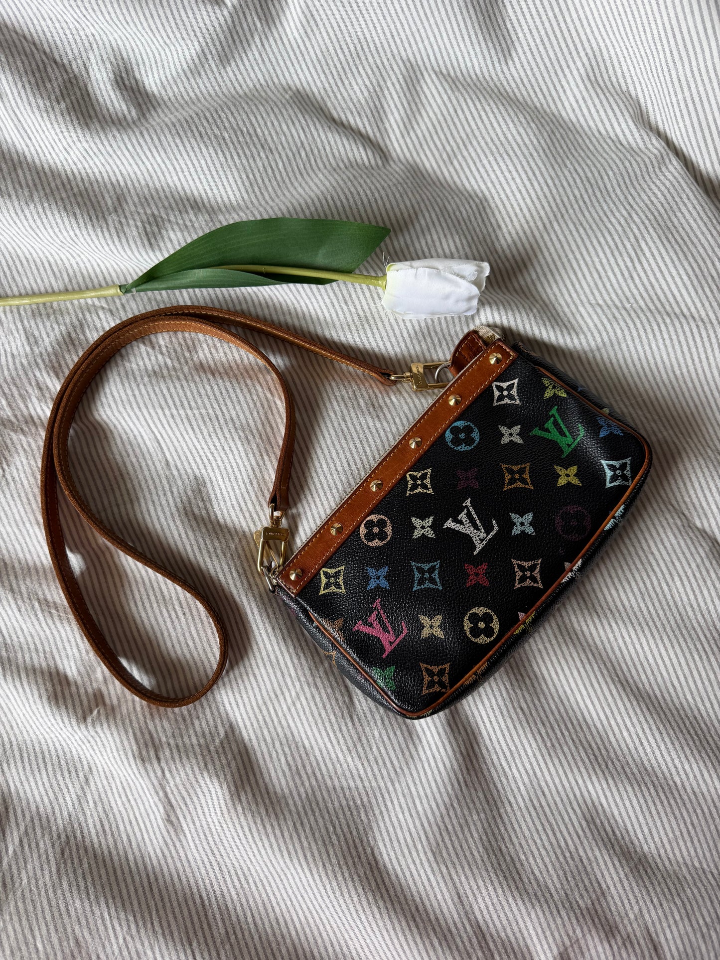 Louis Vuitton Pochette accessoire Takashi Murakami