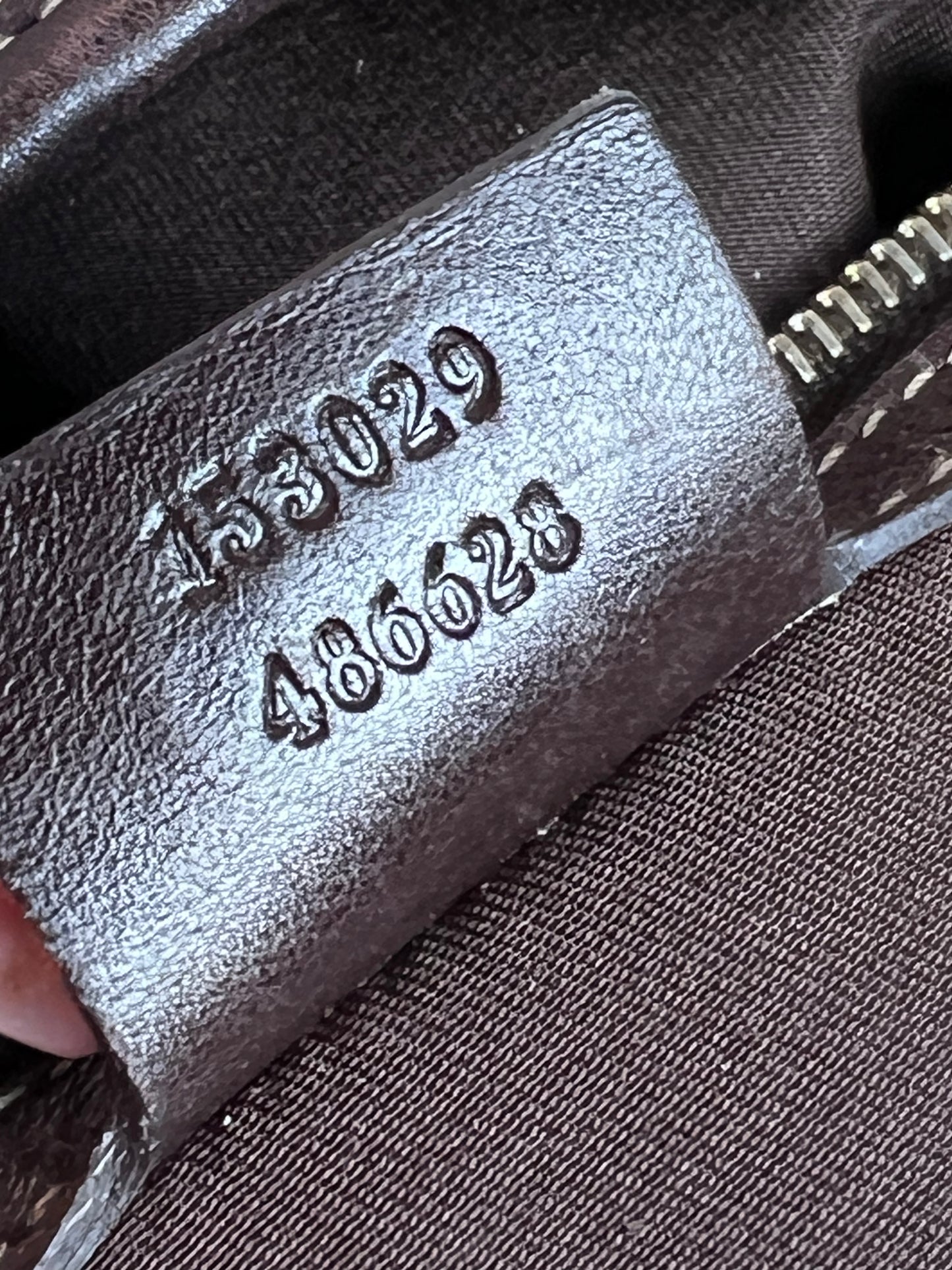 Gucci Jackie web