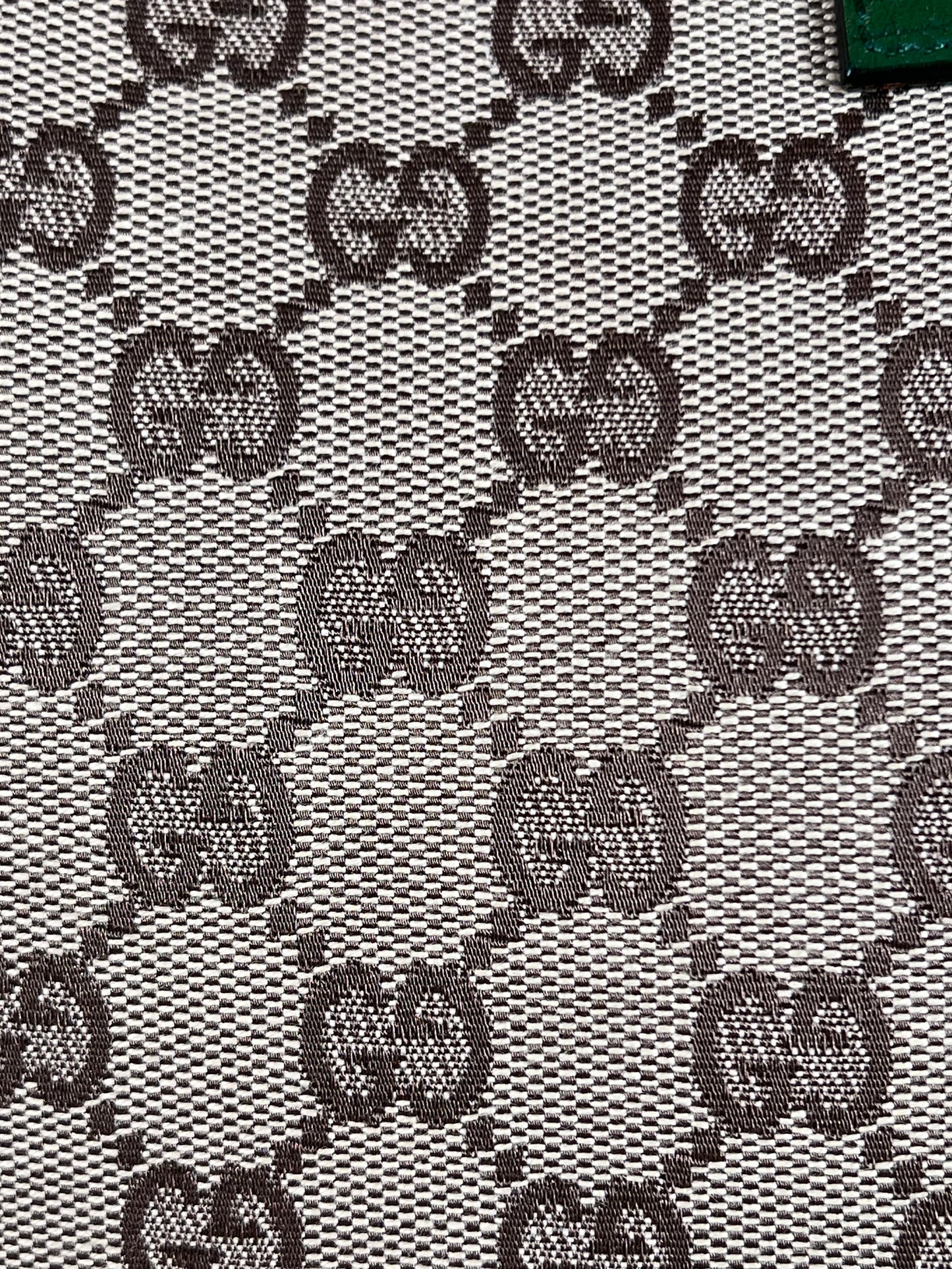 Gucci Junco