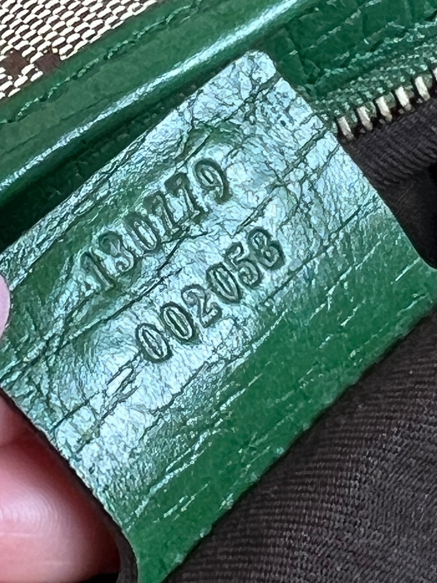 Gucci Junco