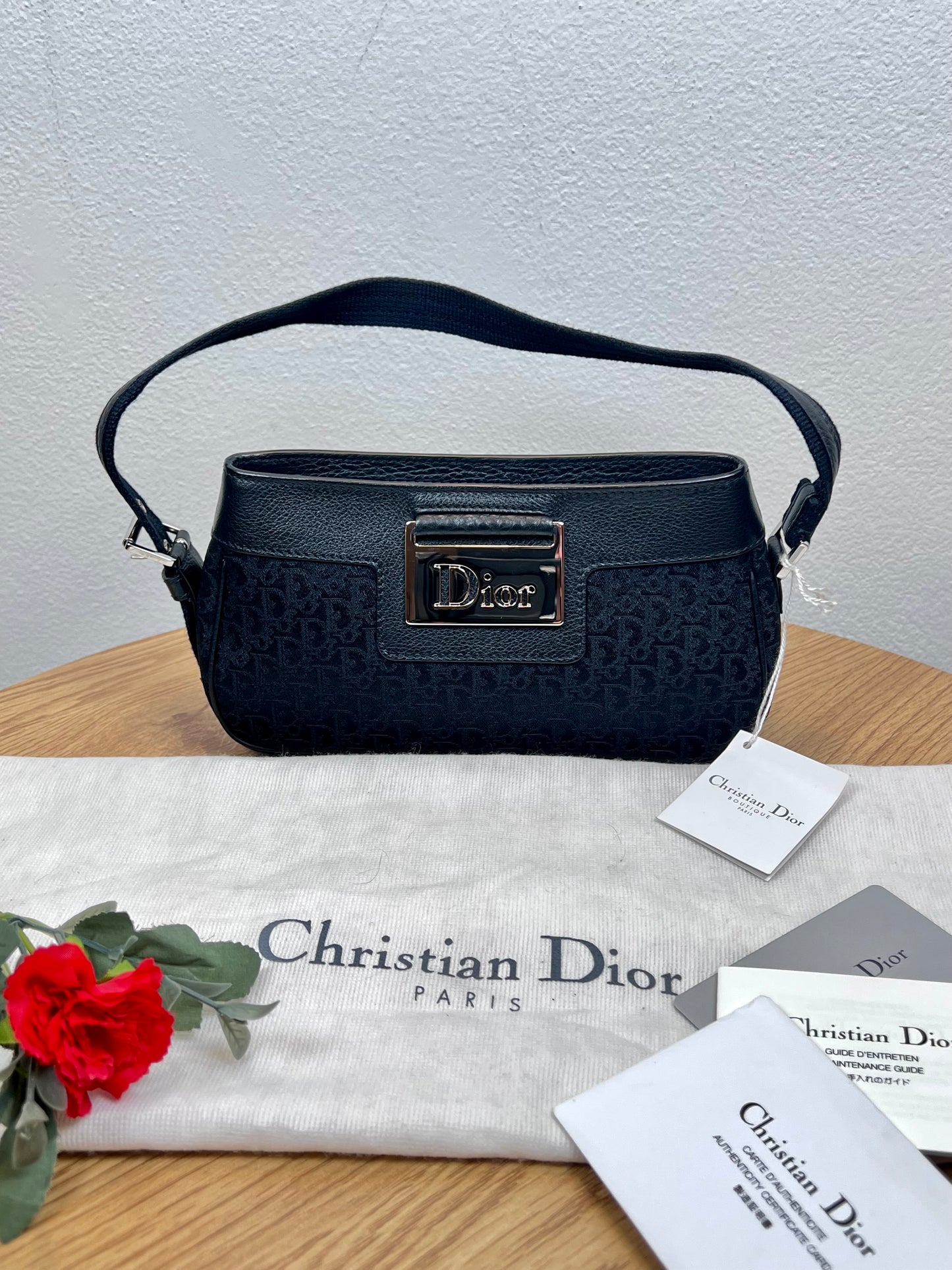 Dior Pochette Street Chic